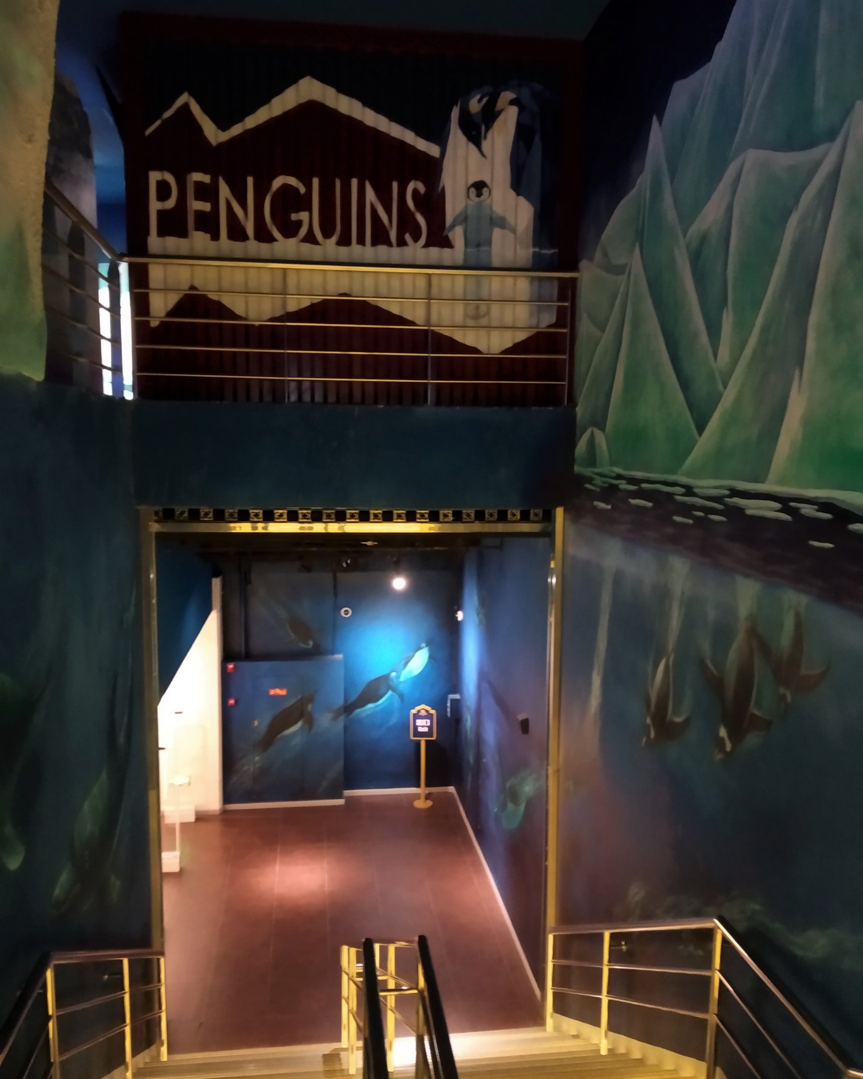 Penguin Stairs