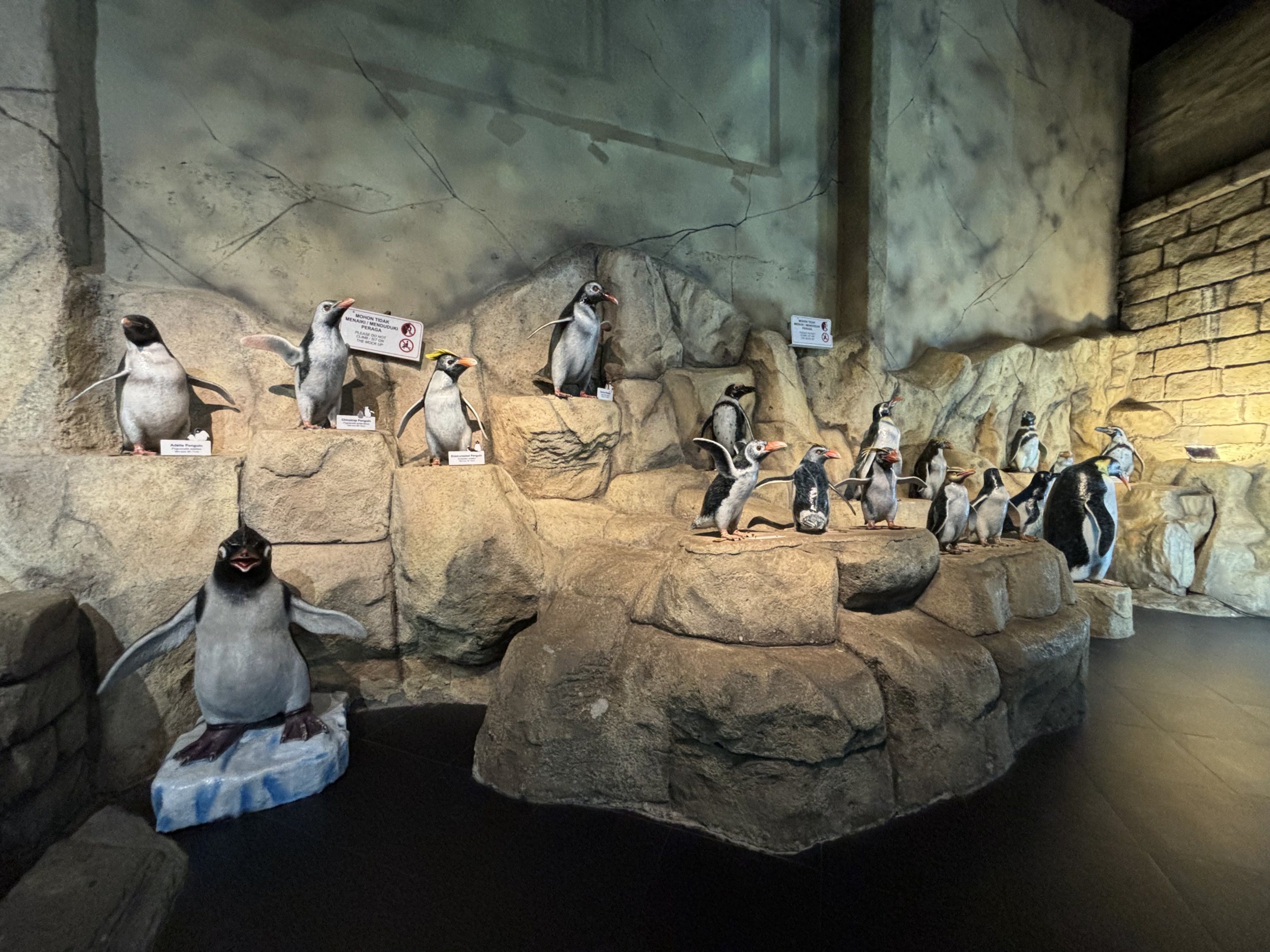 Penguin Statues - Penguin Kingdom