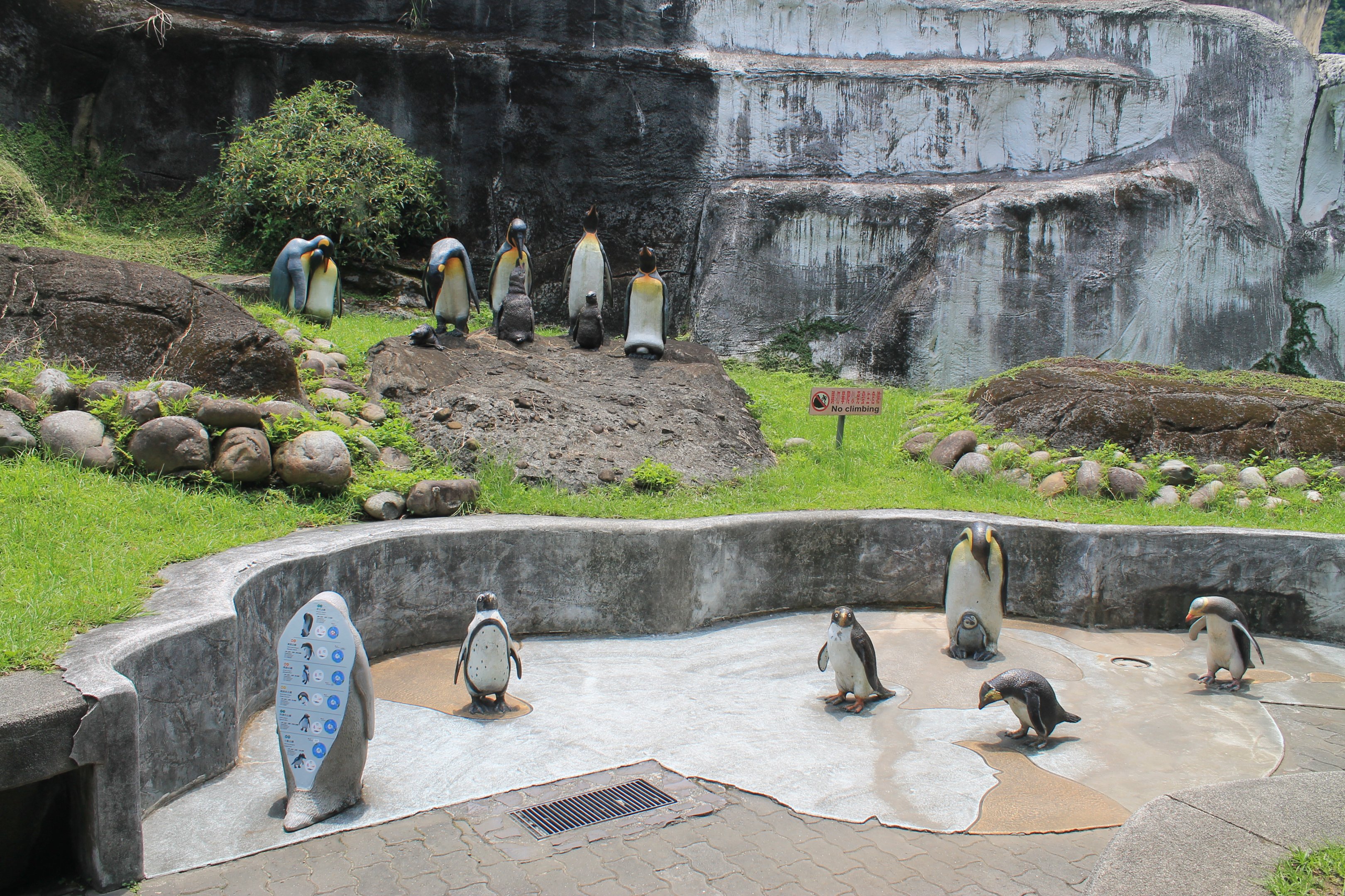 Penguin statues
