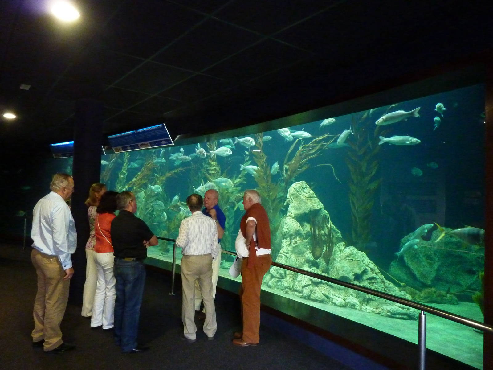 Penguin tank, December 2012