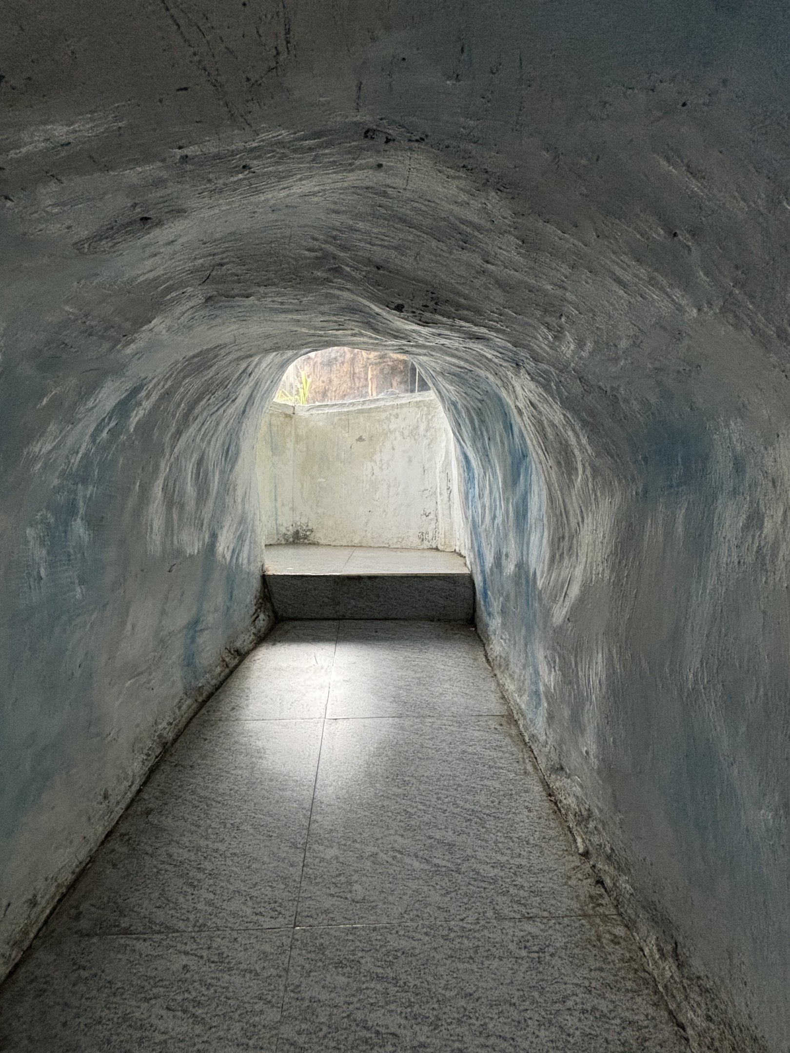 Penguin Tunnel - for visitors