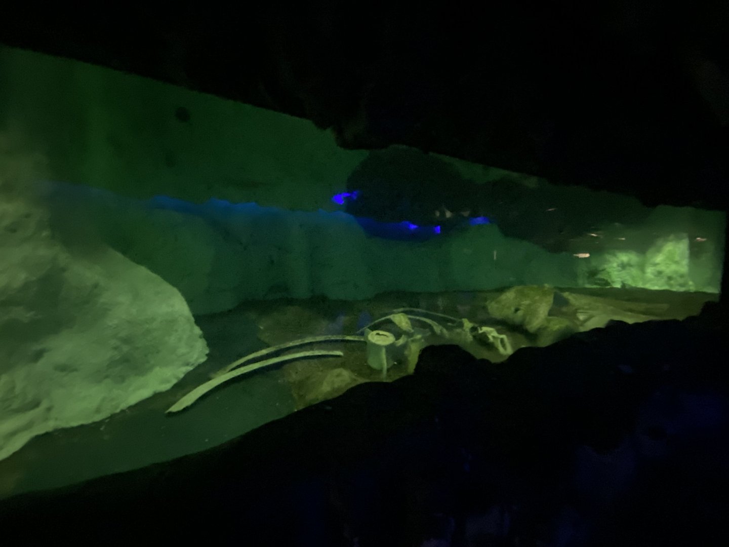 Penguin underwater theming