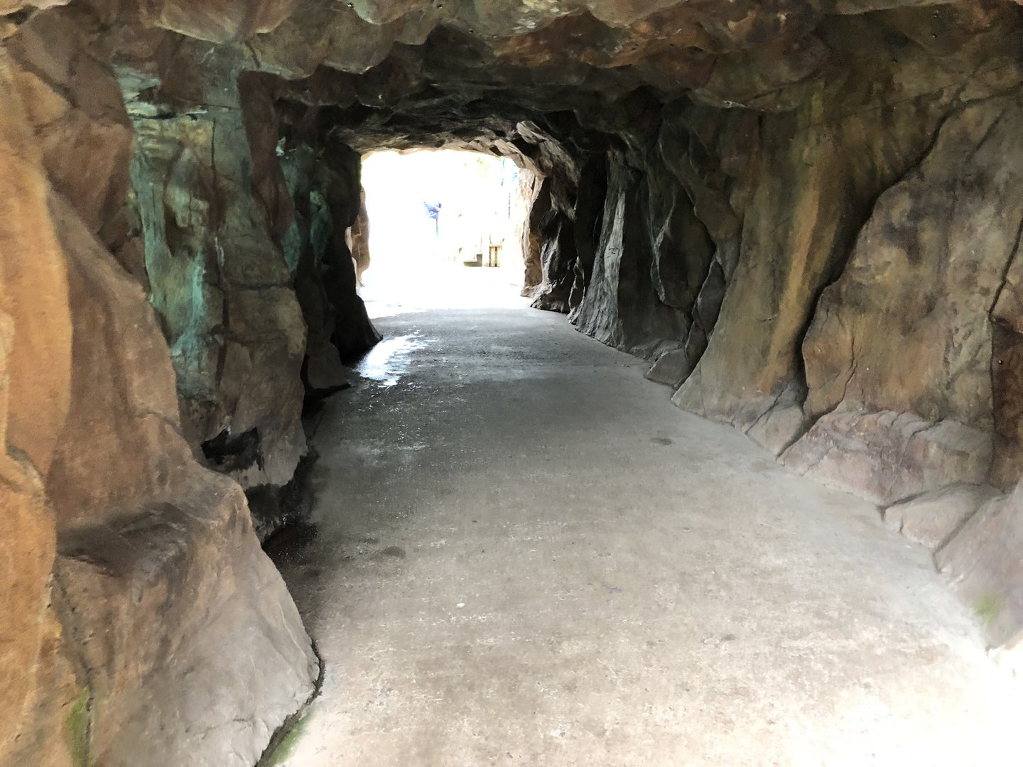 Penguin Underwater Viewing Area at Peak Wildlife Park (August 2023)