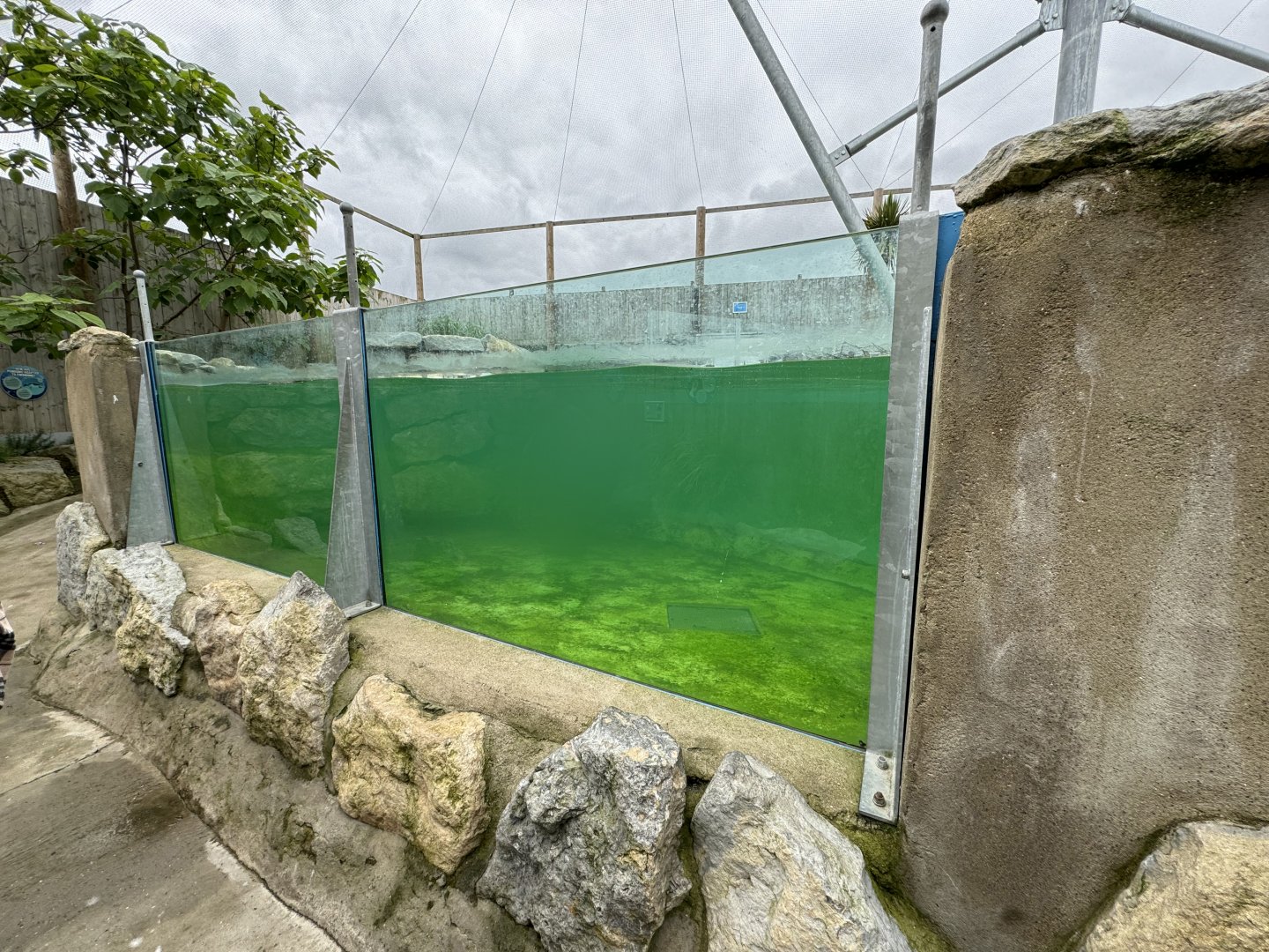 Penguin Underwater Viewing Area at Woodside Wildlife Park (May 2024)