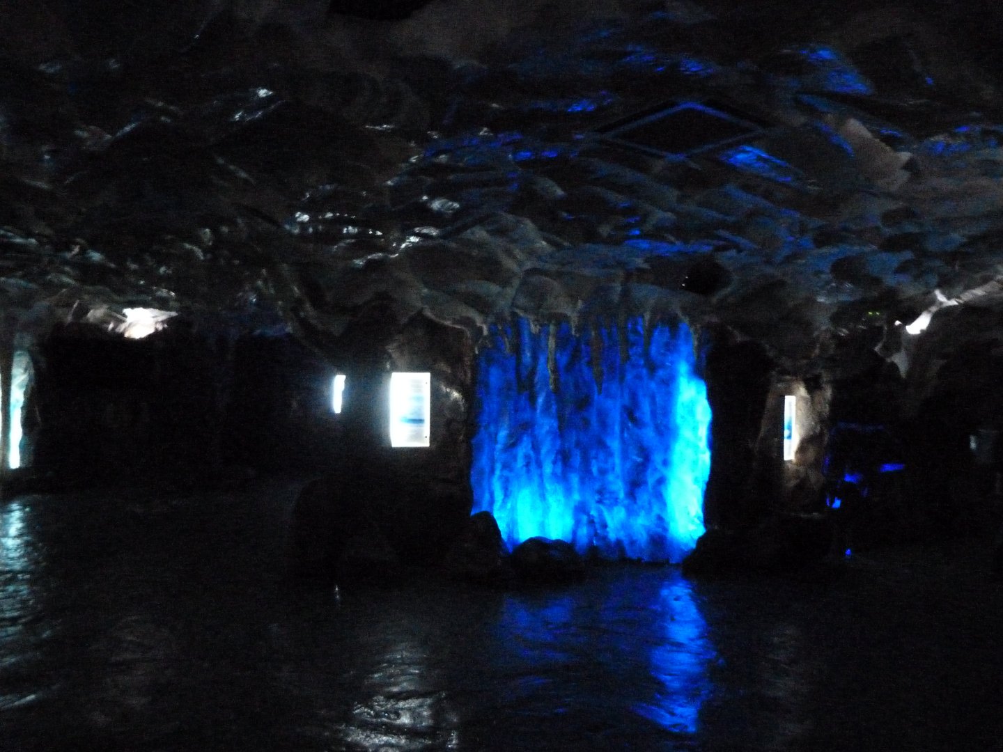 Penguin underwater viewing area themeing -Faunia (2025)