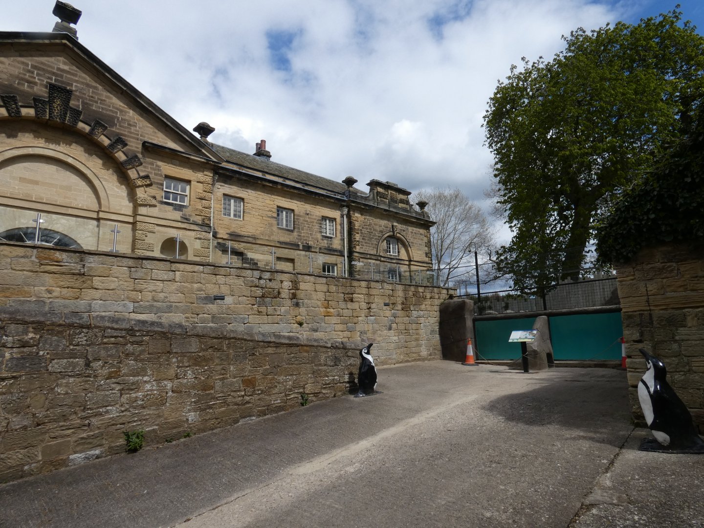Penguin underwater viewing area