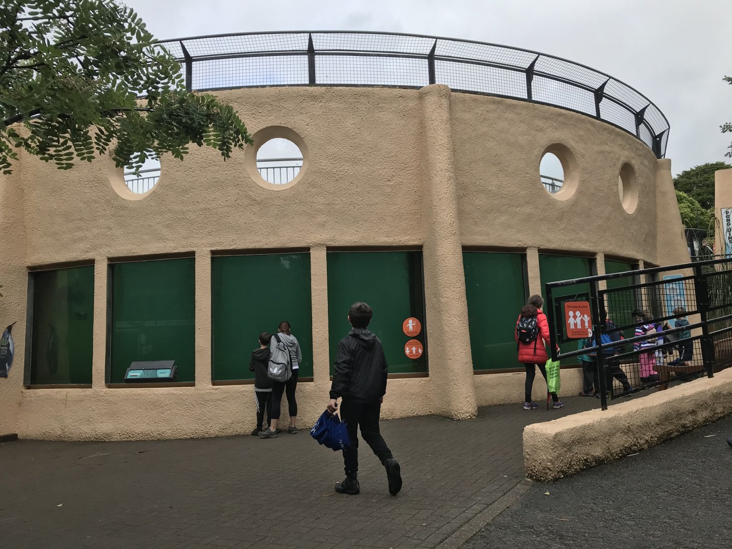 Penguin underwater viewing area