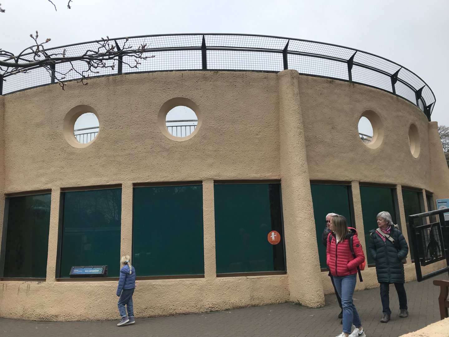 Penguin underwater viewing area