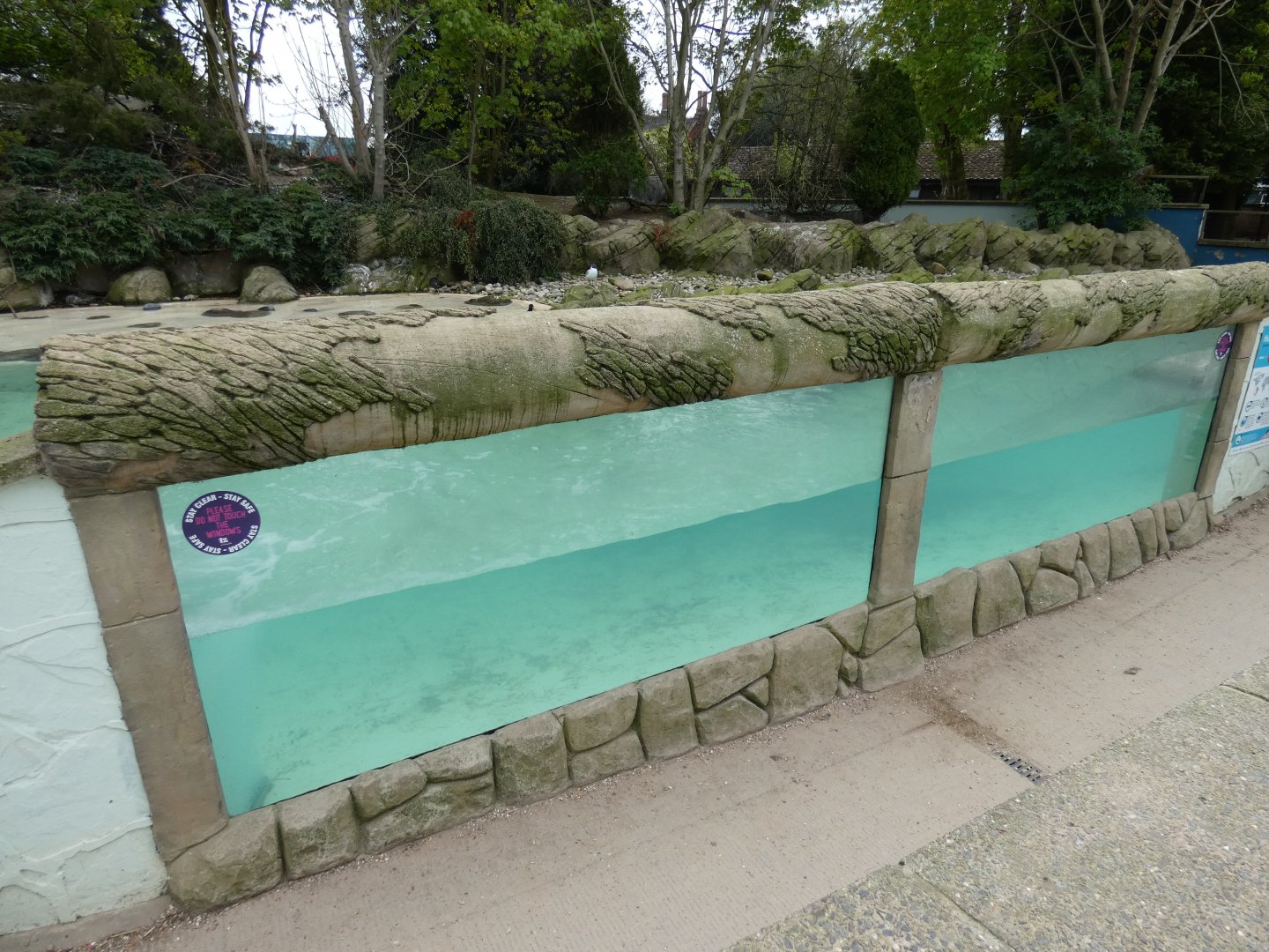 Penguin underwater viewing area