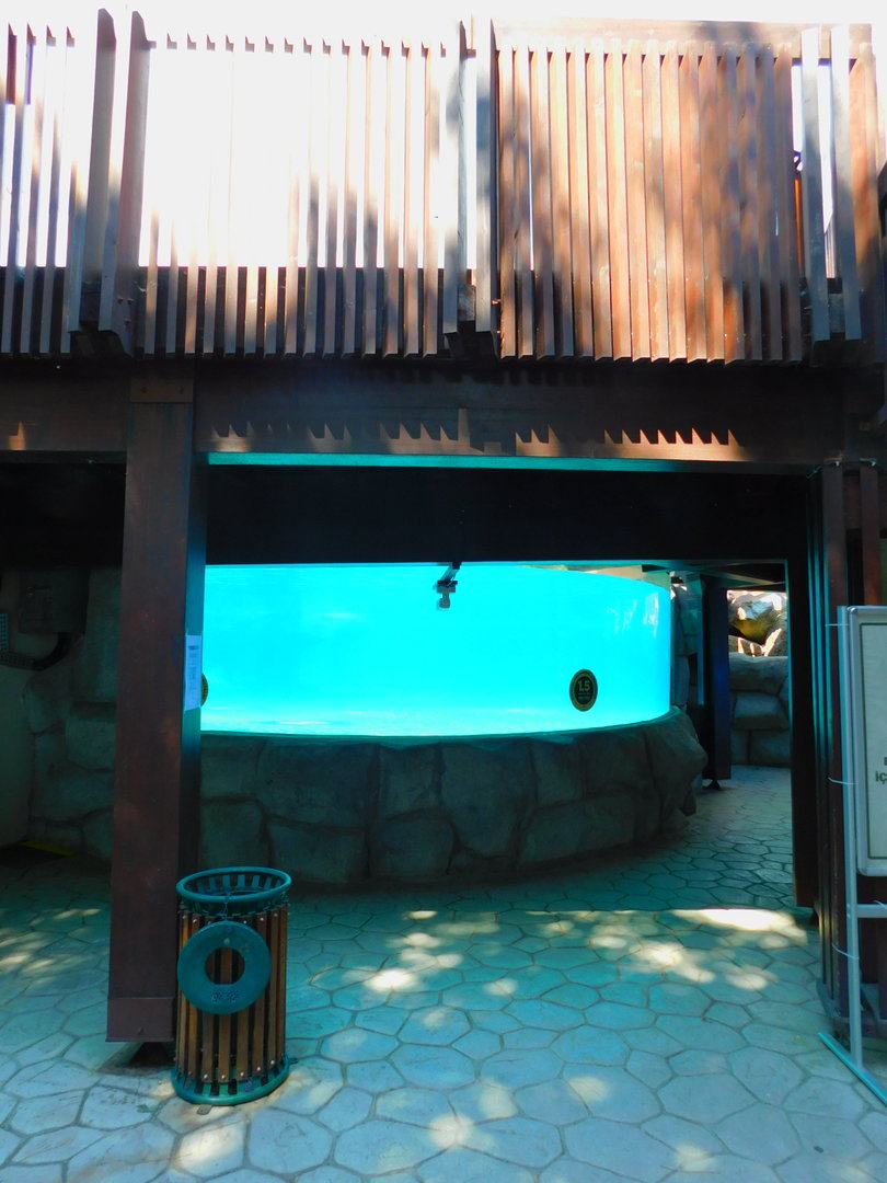 Penguin Underwater Viewing Area