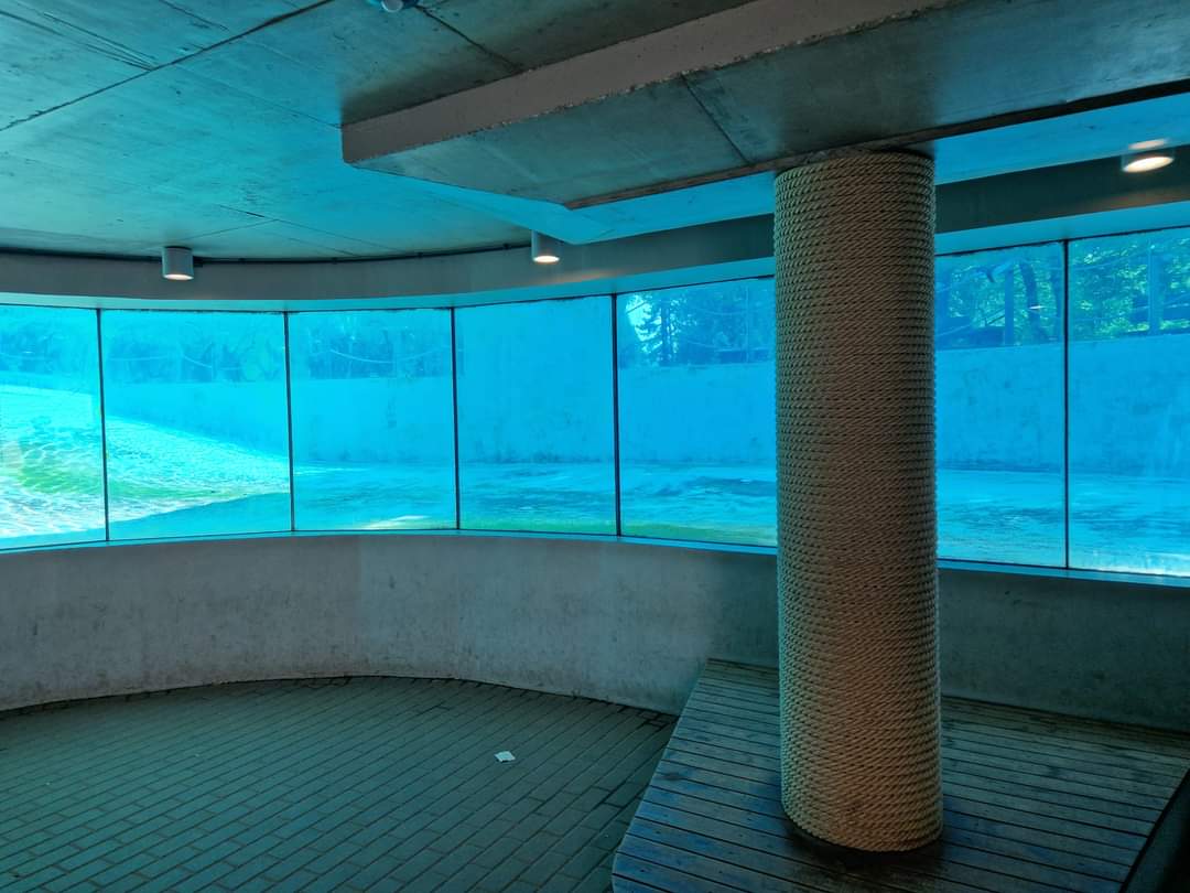 Penguin underwear view