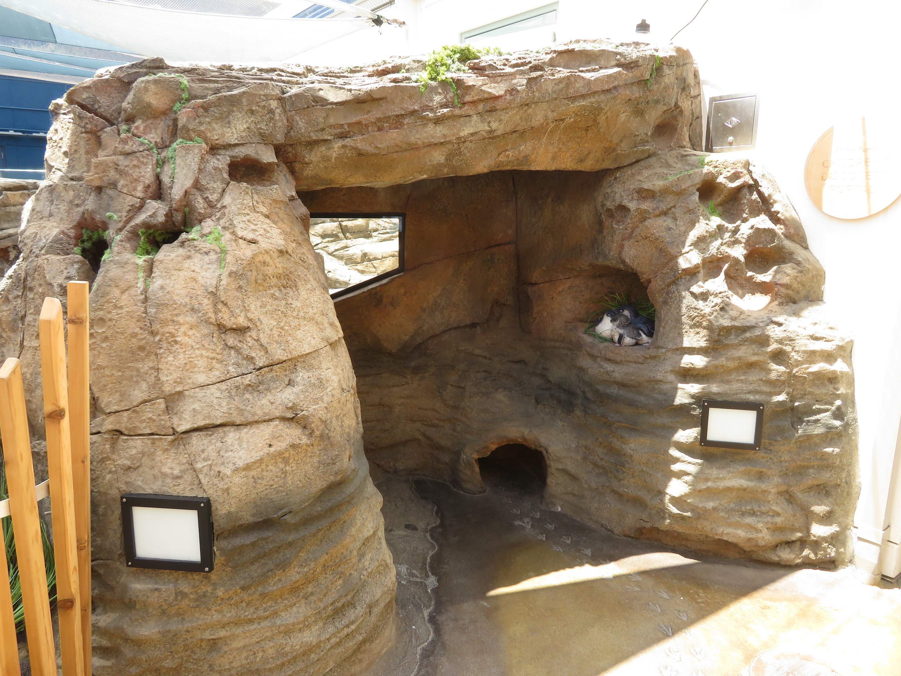 Penguin Viewing Alcove