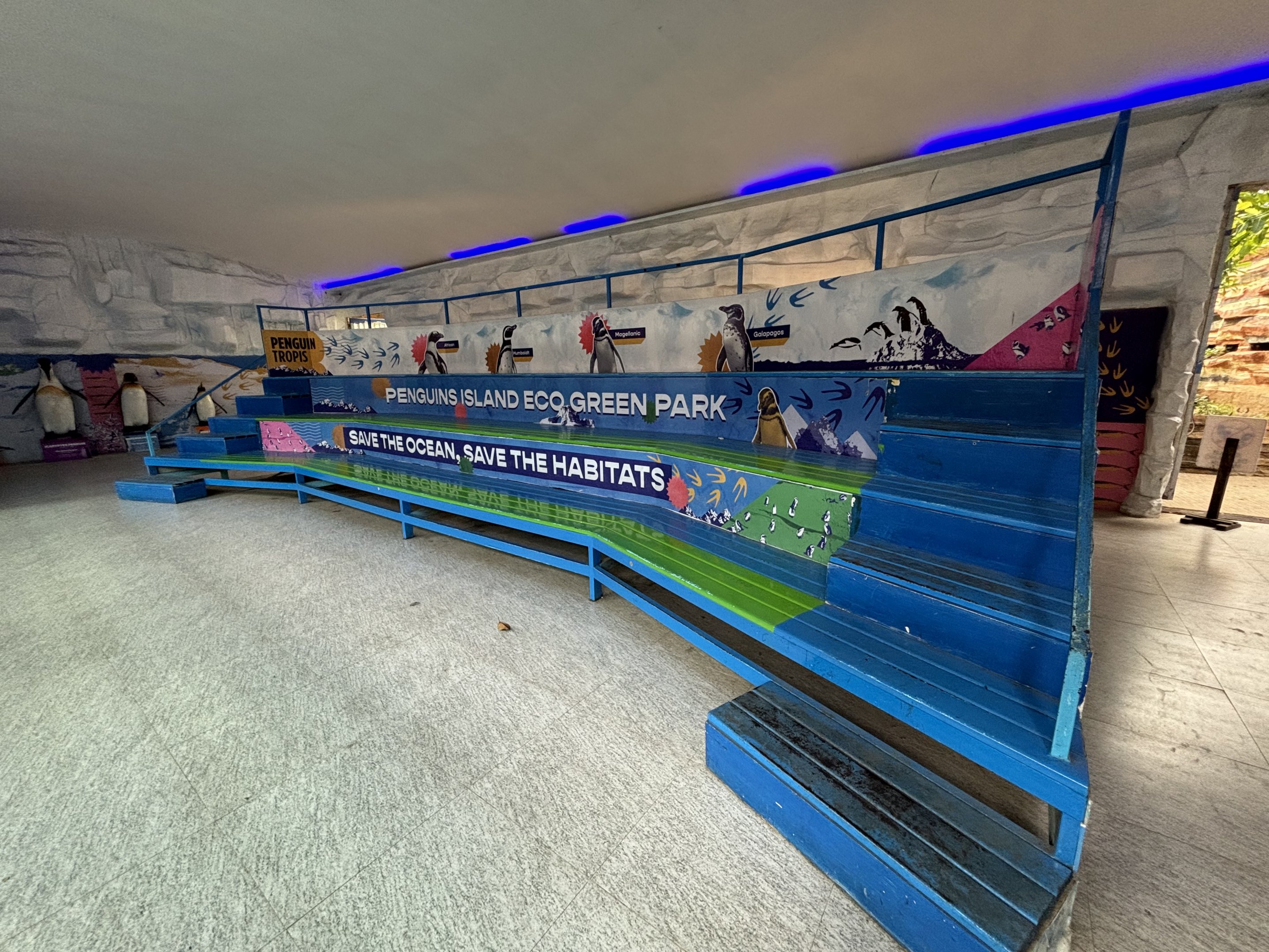 Penguin Viewing Area