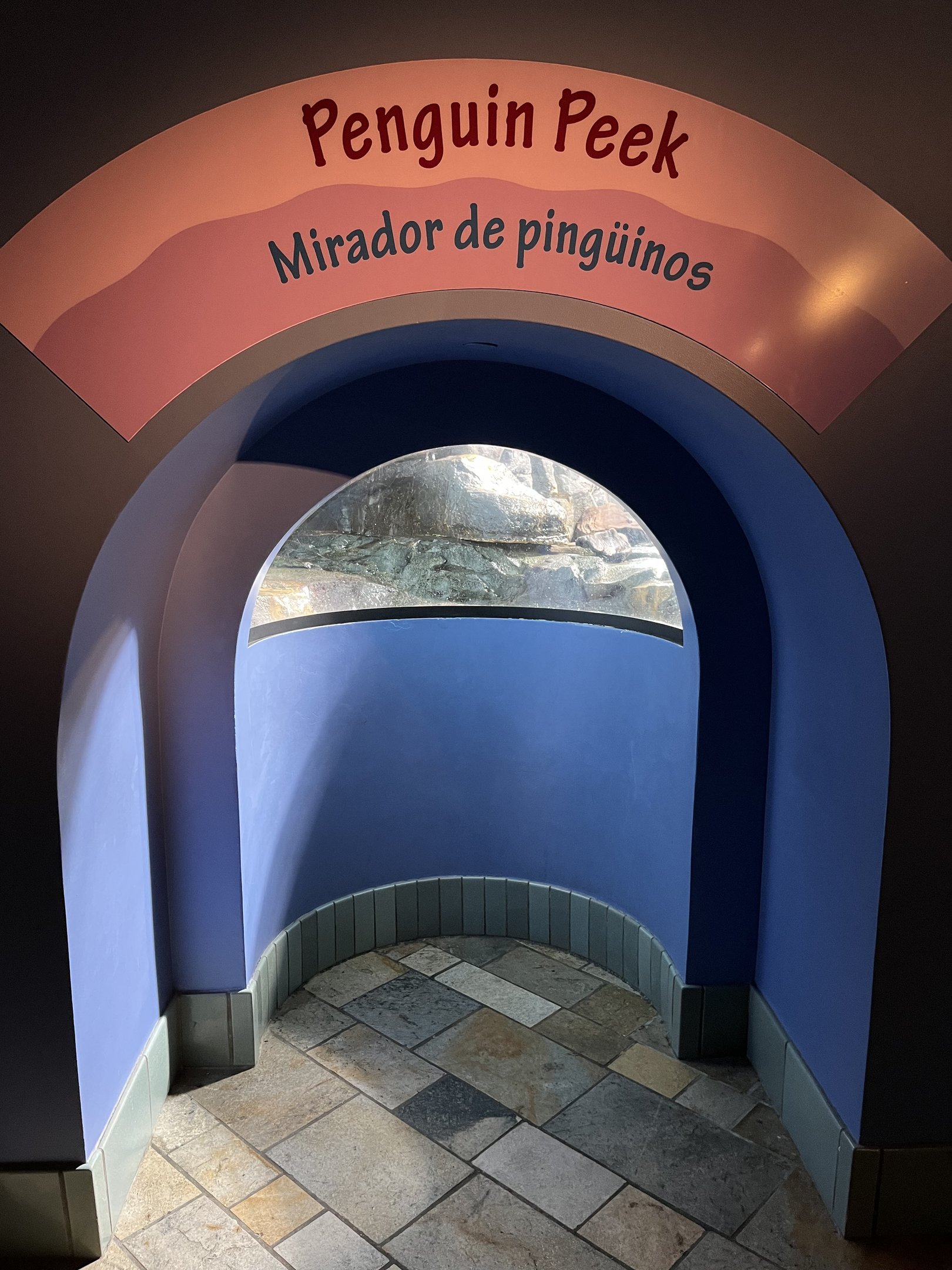 Penguin Viewing Window