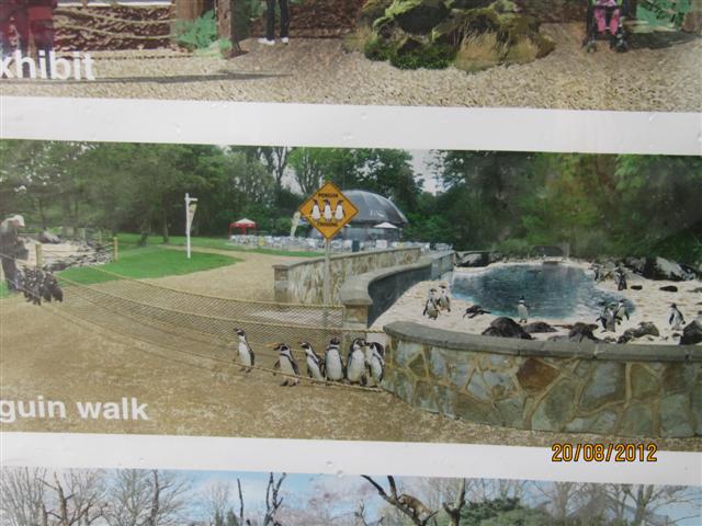 Penguin walk artists impression
