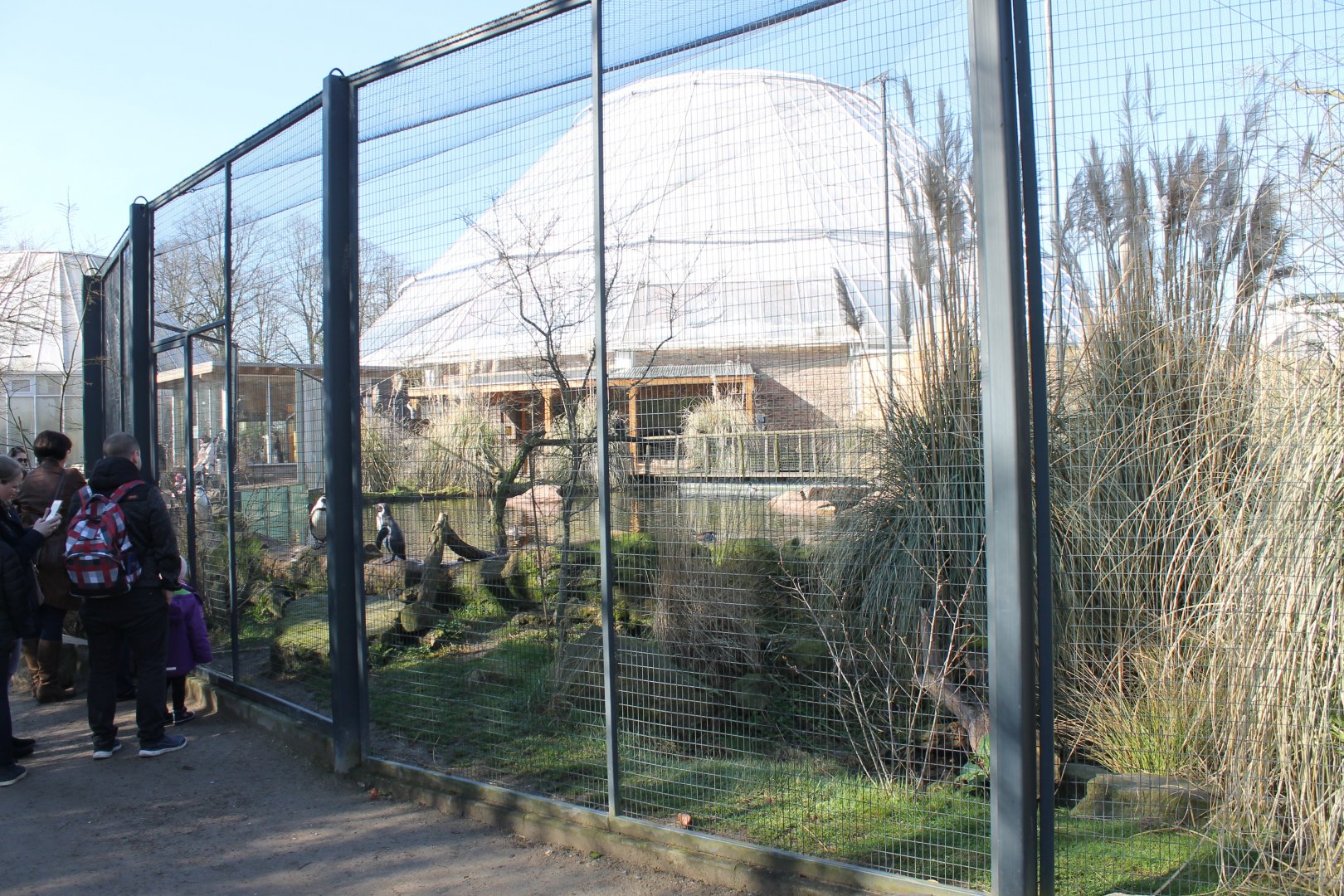 Penguin-walk-through enclosure from the outside
