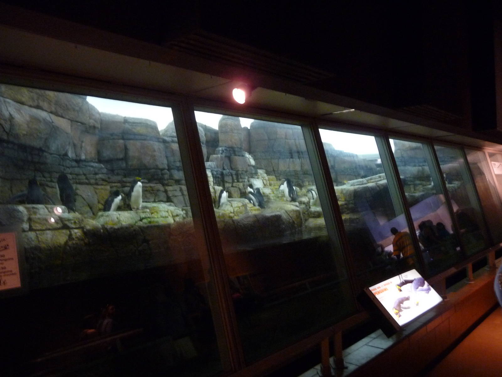 Penguinarium - Detroit Zoo