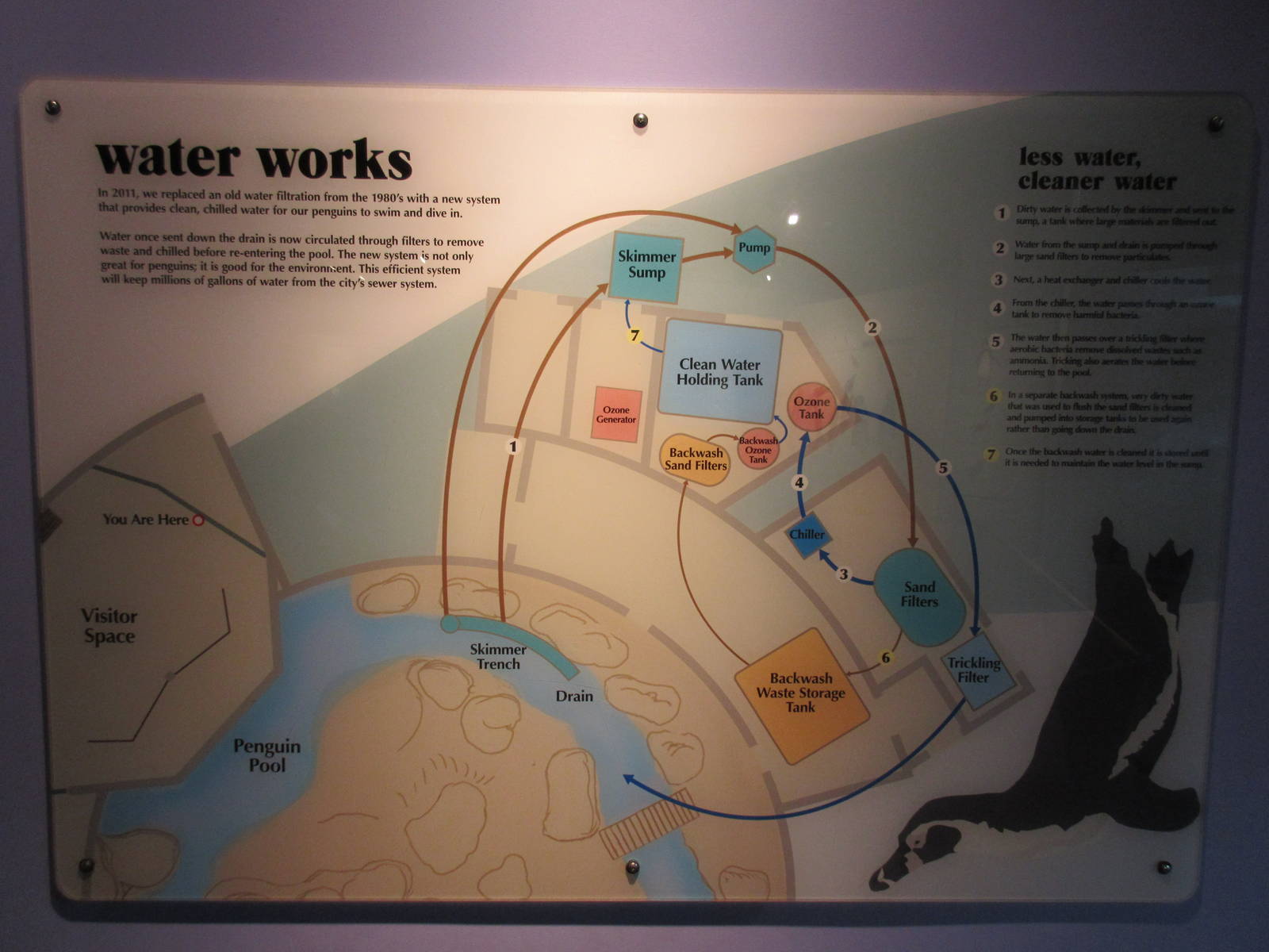 Penguinarium - New Sign (in late 2011)