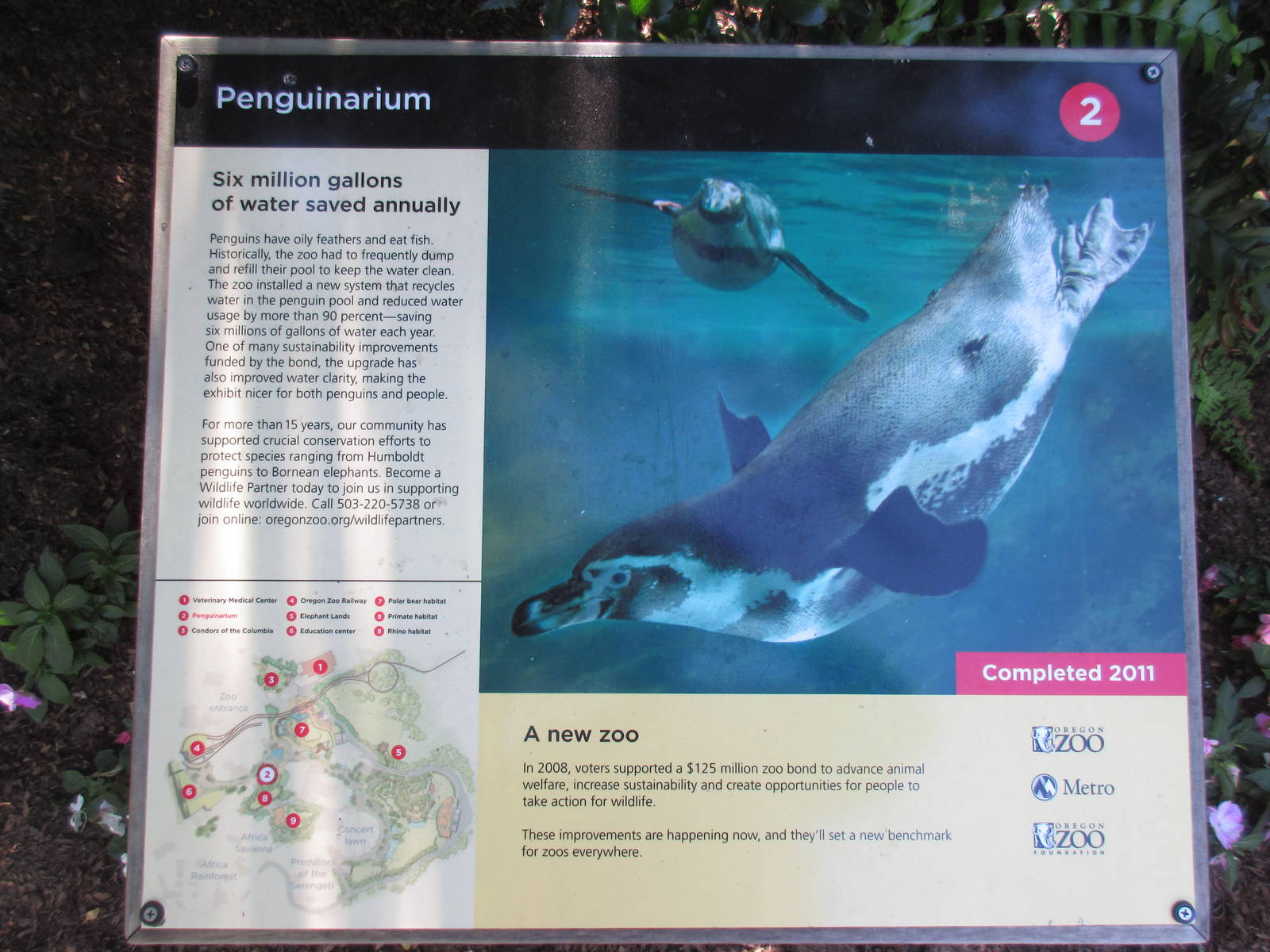 Penguinarium - New Sign