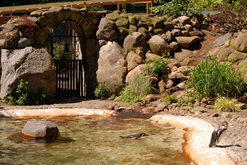 Penguinenclosure at Cottbus