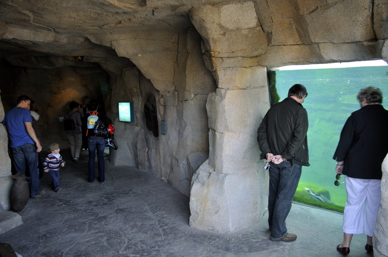 Penguinpool at Bremerhaven zoo