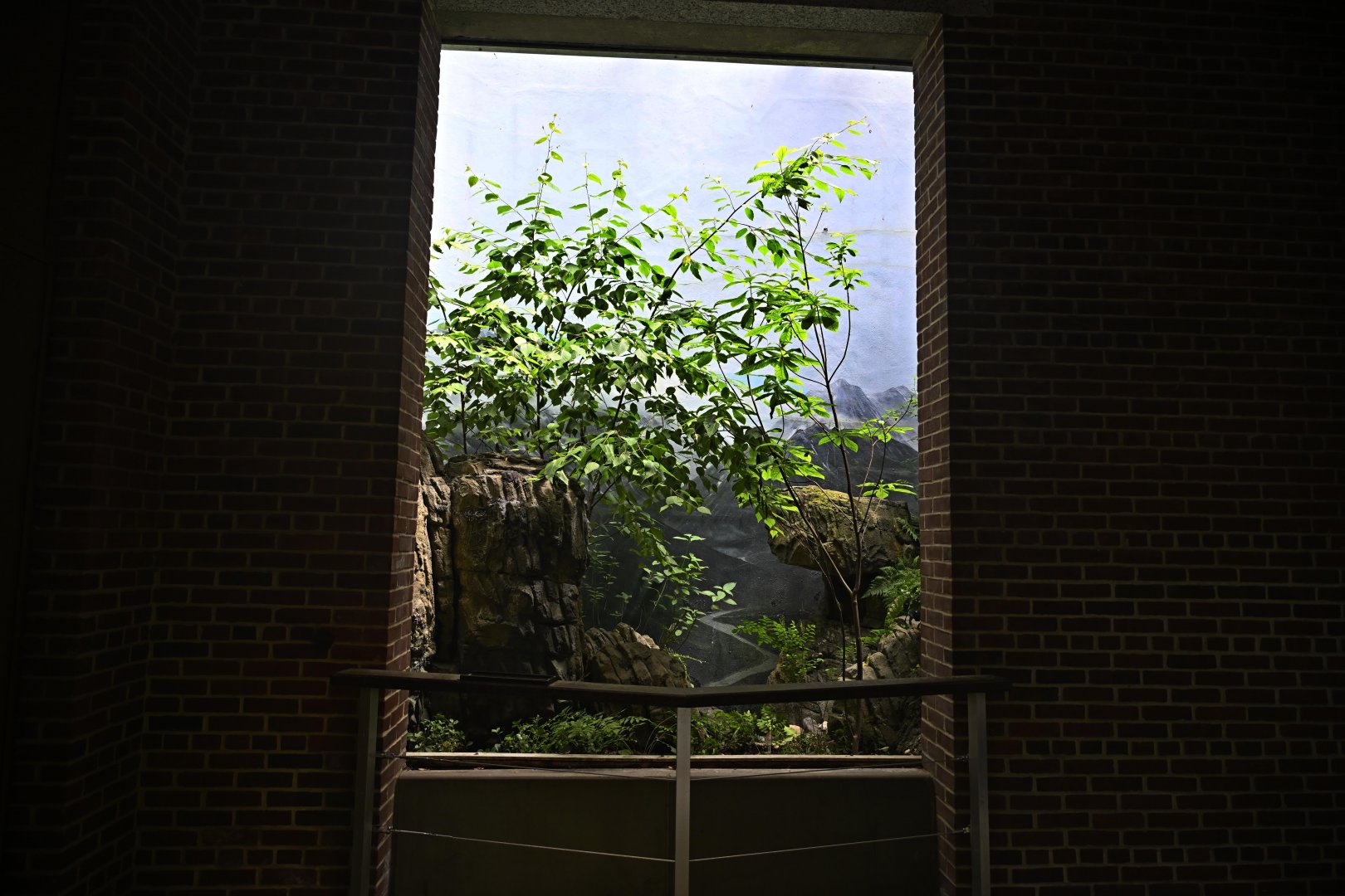 Penguins and Seabirds Building - Unused Exhibit