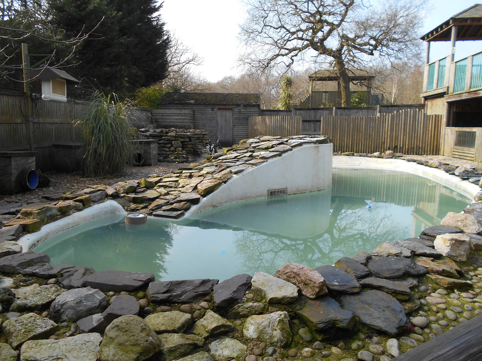 Penguins - March 11th 2016