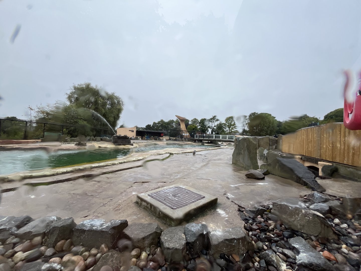 Penguin’s rock 0.5 version 25.8.24