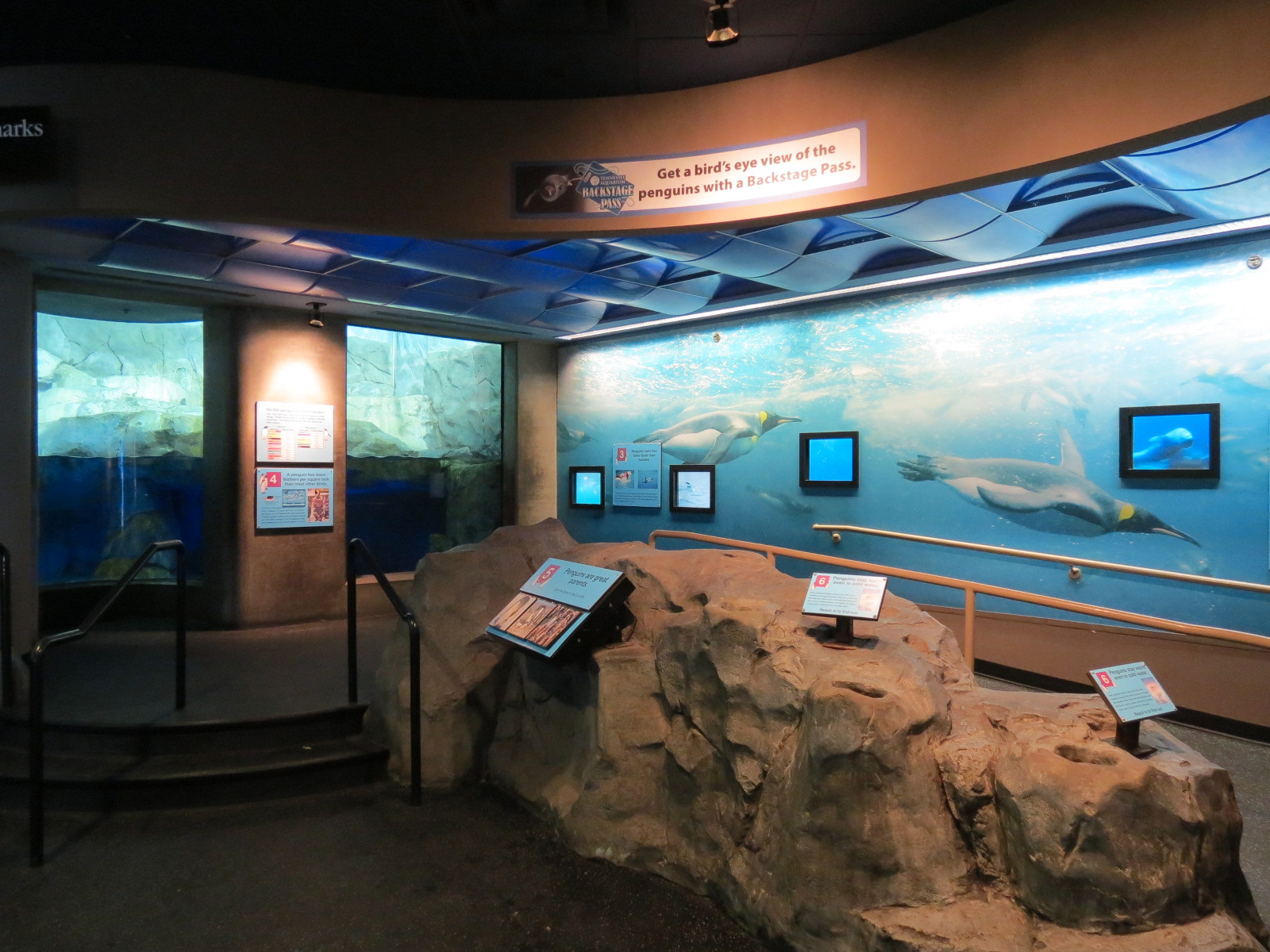 Penguins' Rock - Gentoo and Macaroni Penguin Exhibit