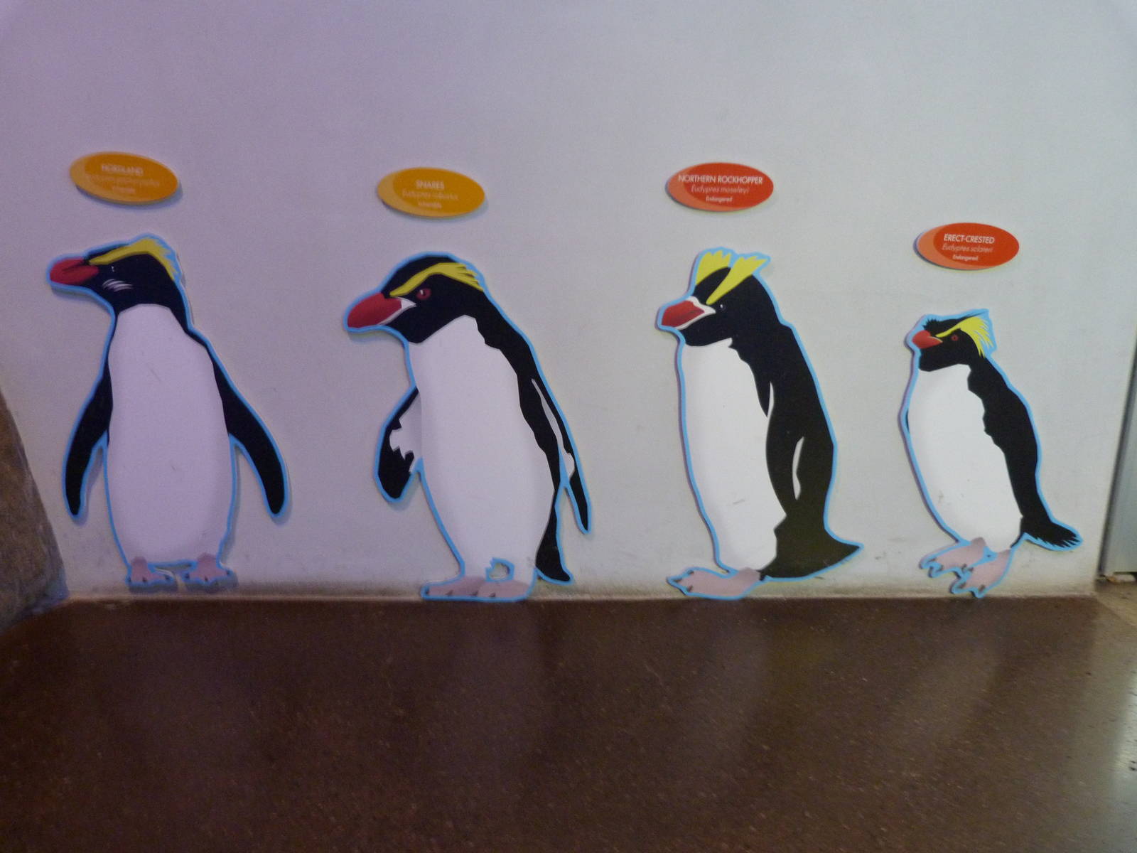 Penguins