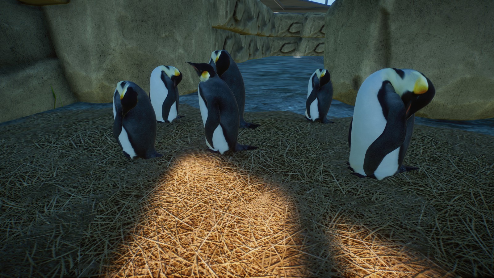 Penguins
