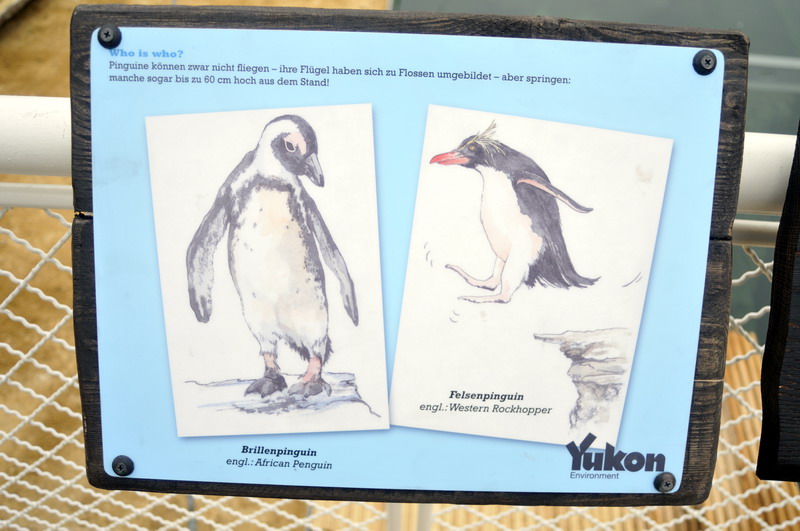 Penguinsign at Hannover