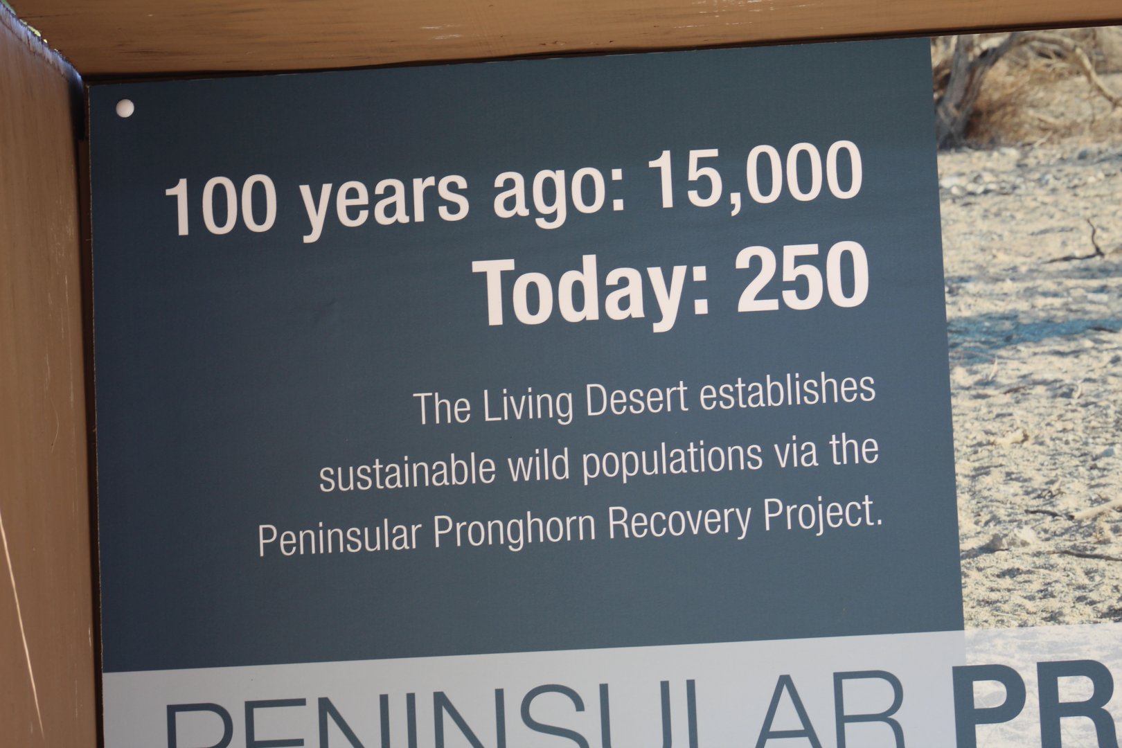 Peninsular Pronghorn Conservation Signage
