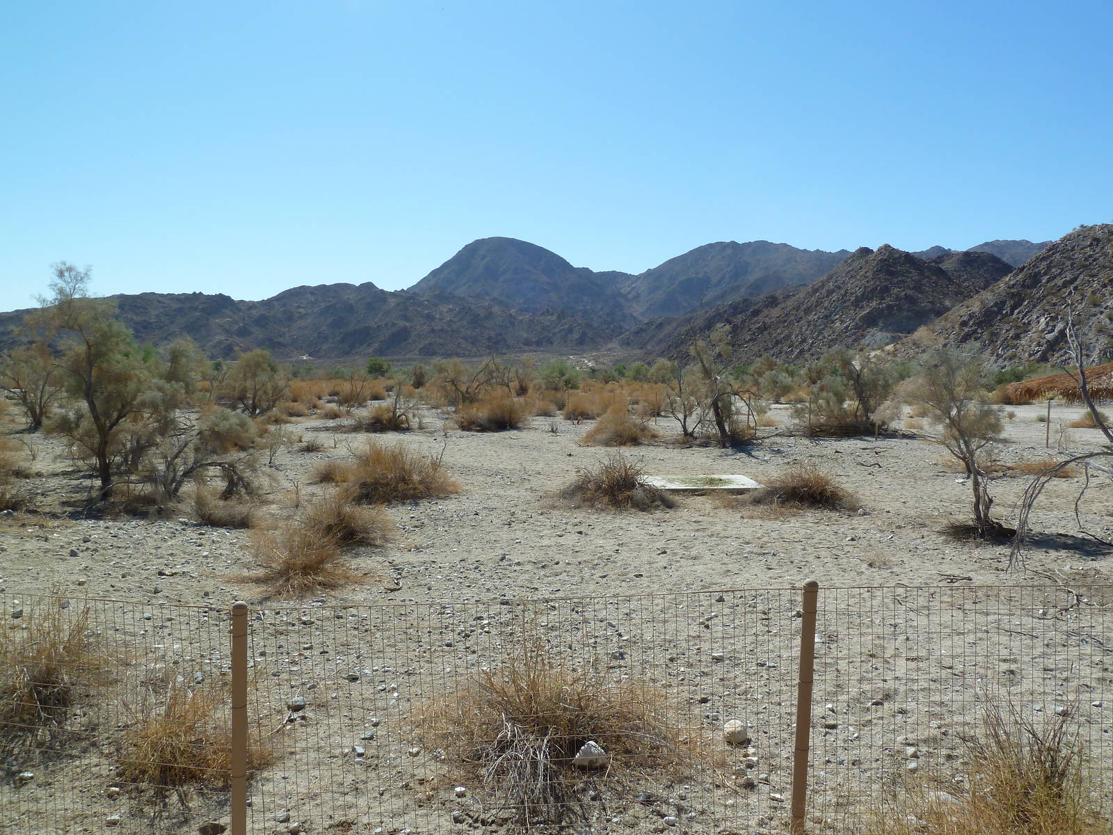 Peninsular Pronghorn Exhibit