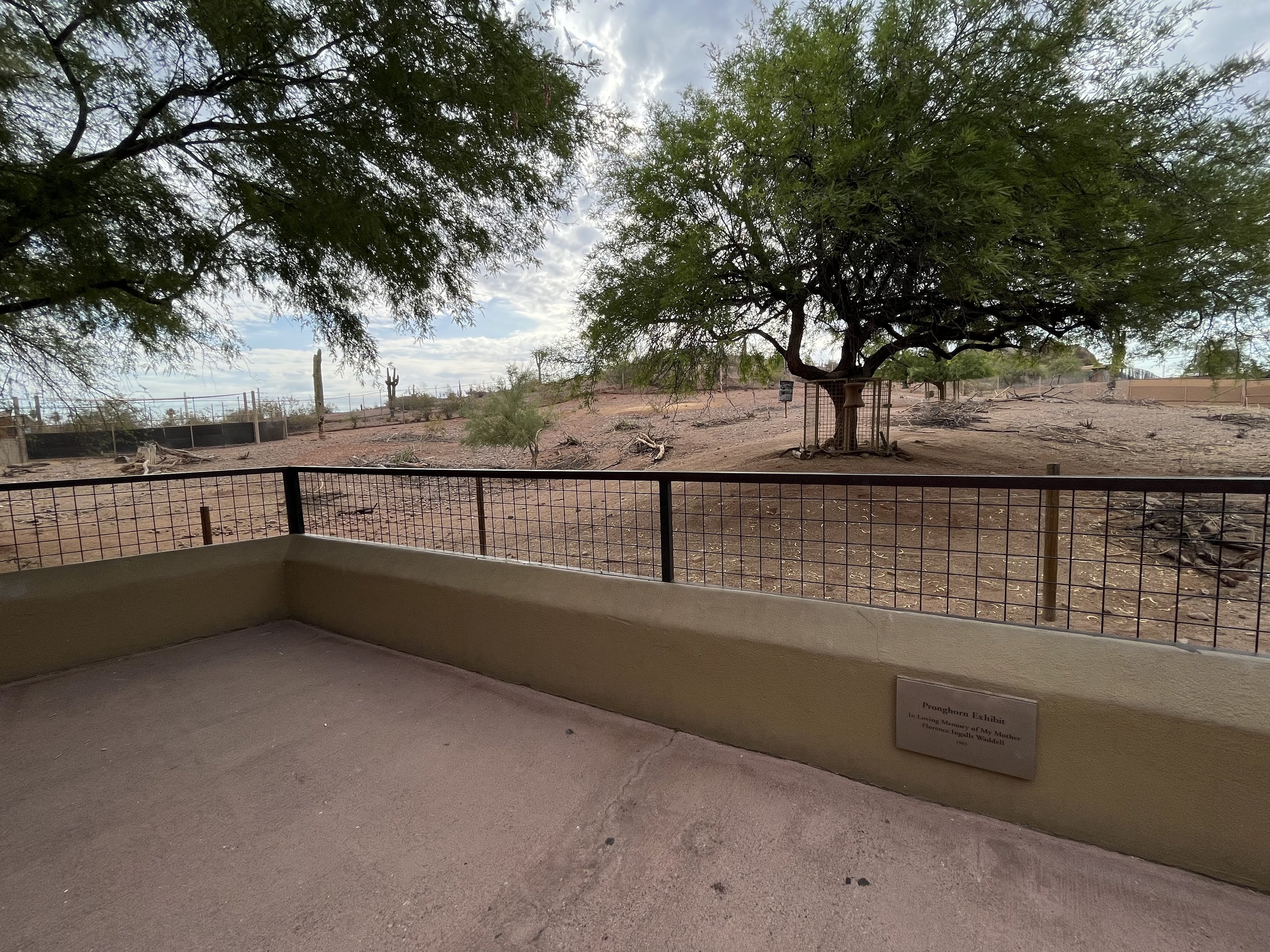 Peninsular Pronghorn Exhibit