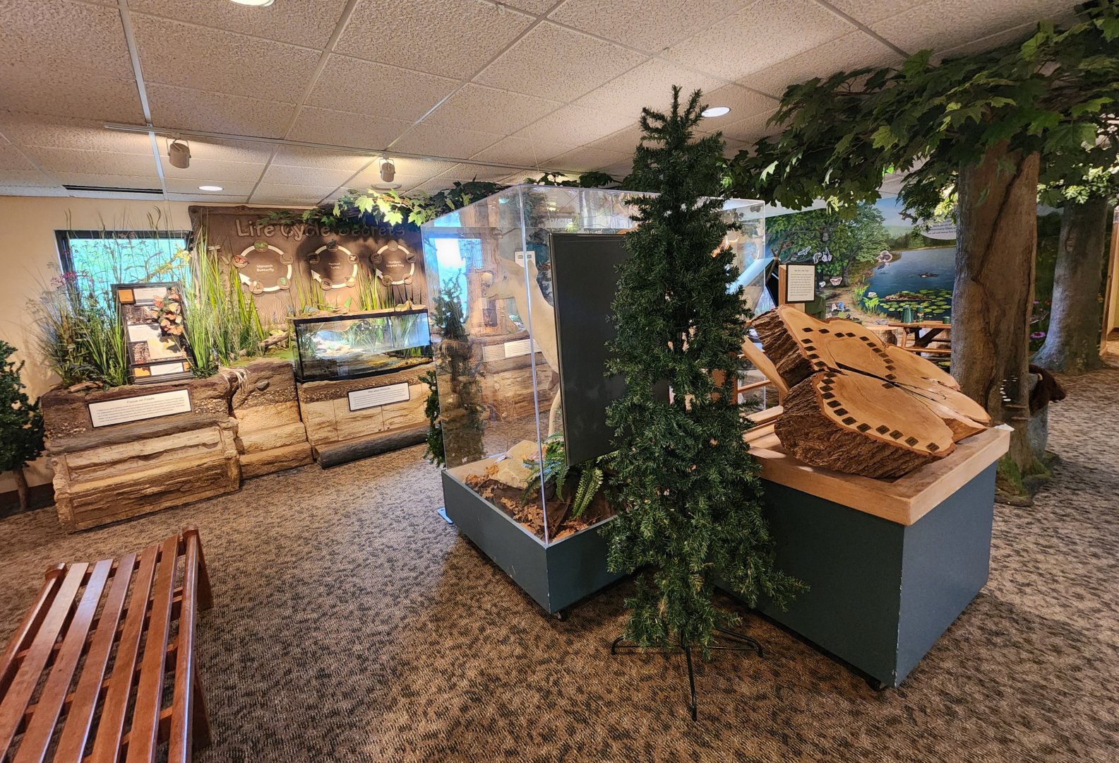 Penitentiary Glen Reservation - Education room