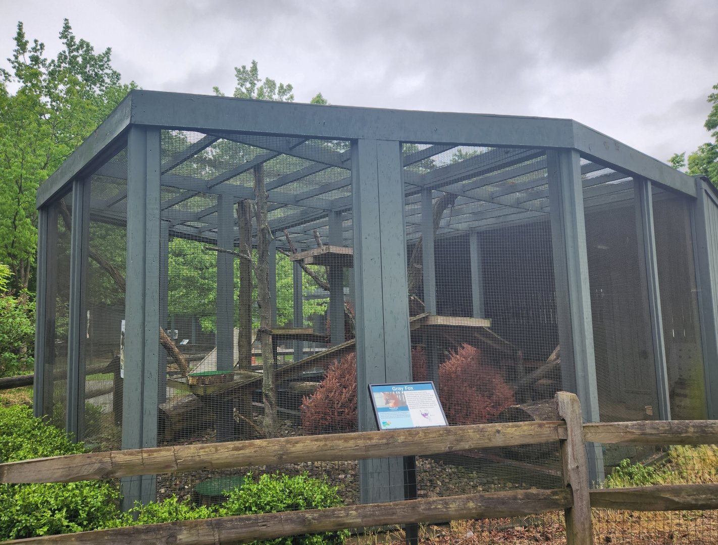 Penitentiary Glen Reservation - Gray Fox exhibit
