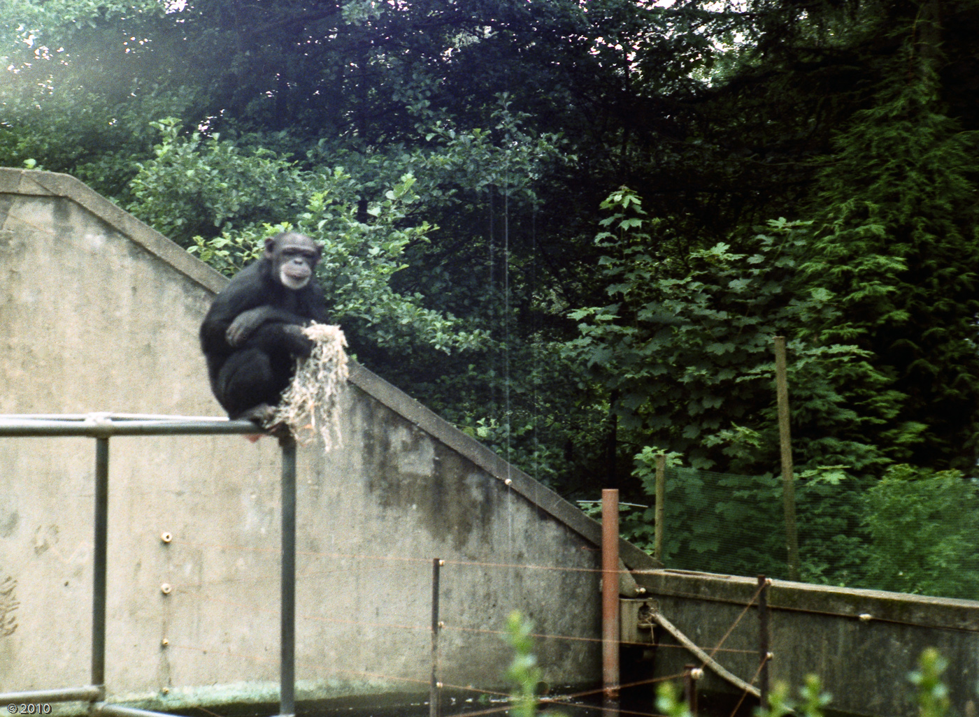 Penscynor Wildlife Park - 1983