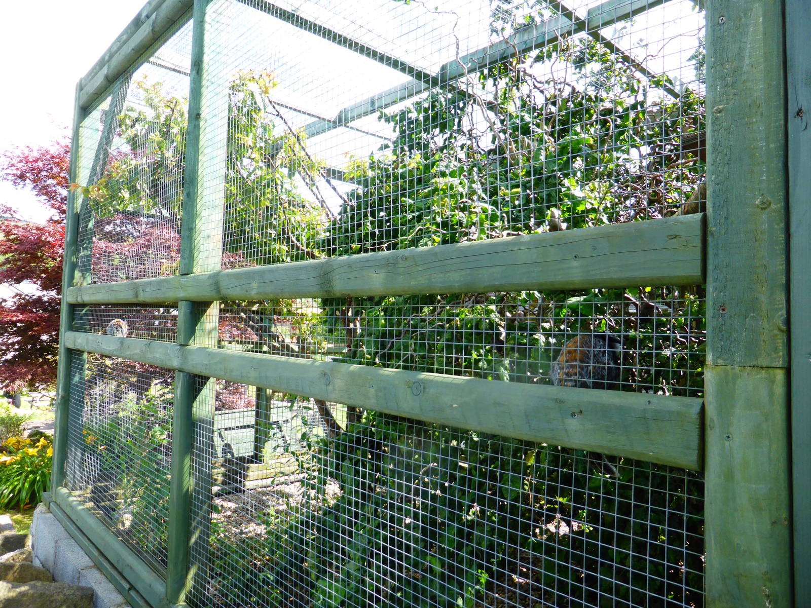 Penycae Inn , South Wales .