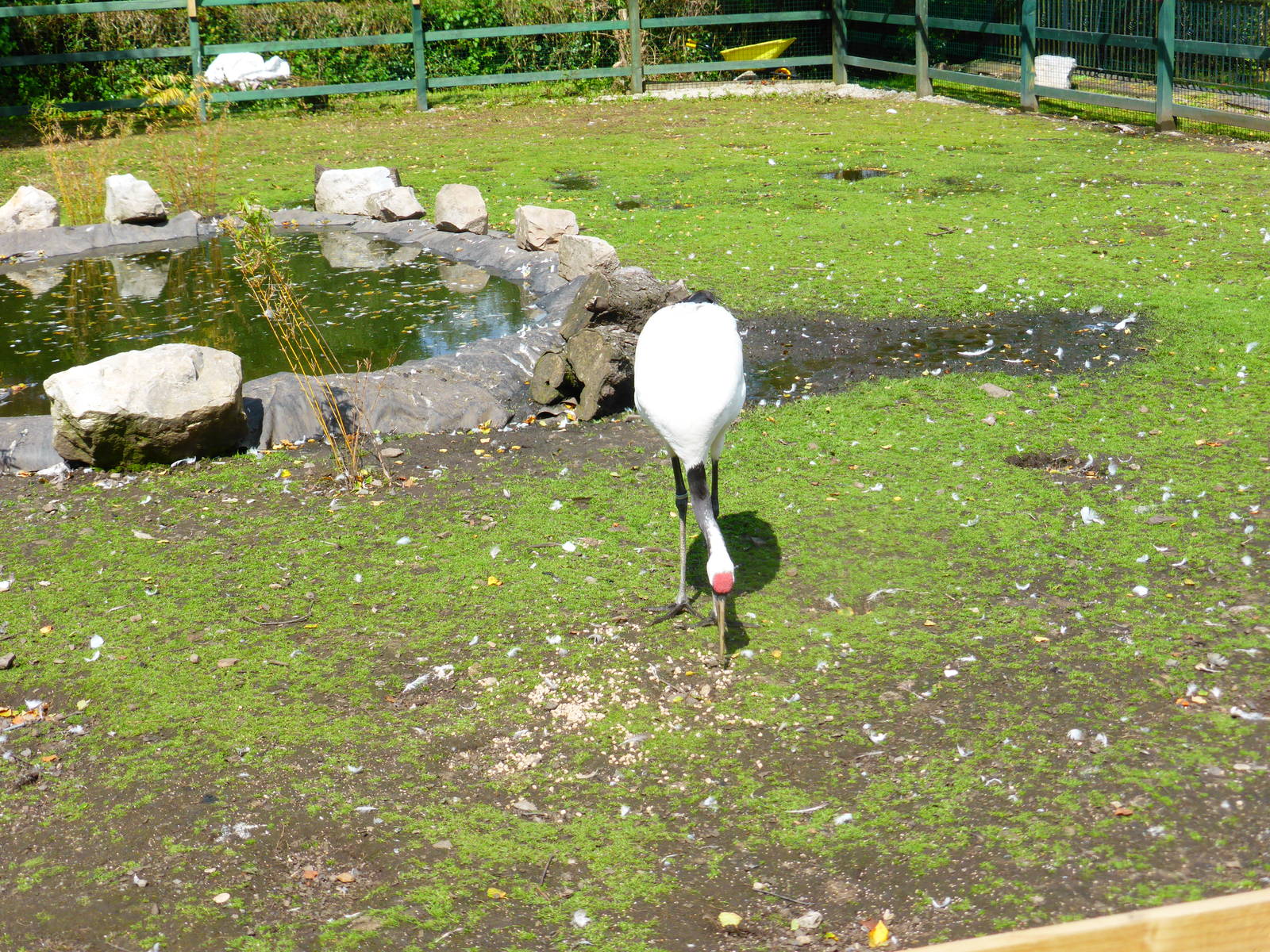 Penycae Inn , South Wales .