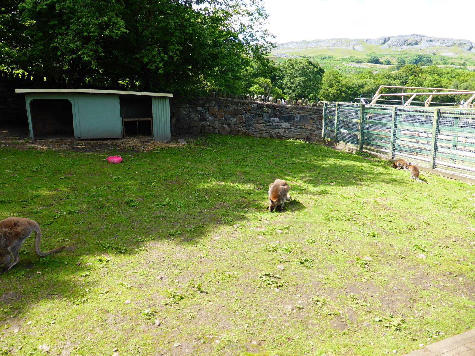 Penycae Inn , South Wales .