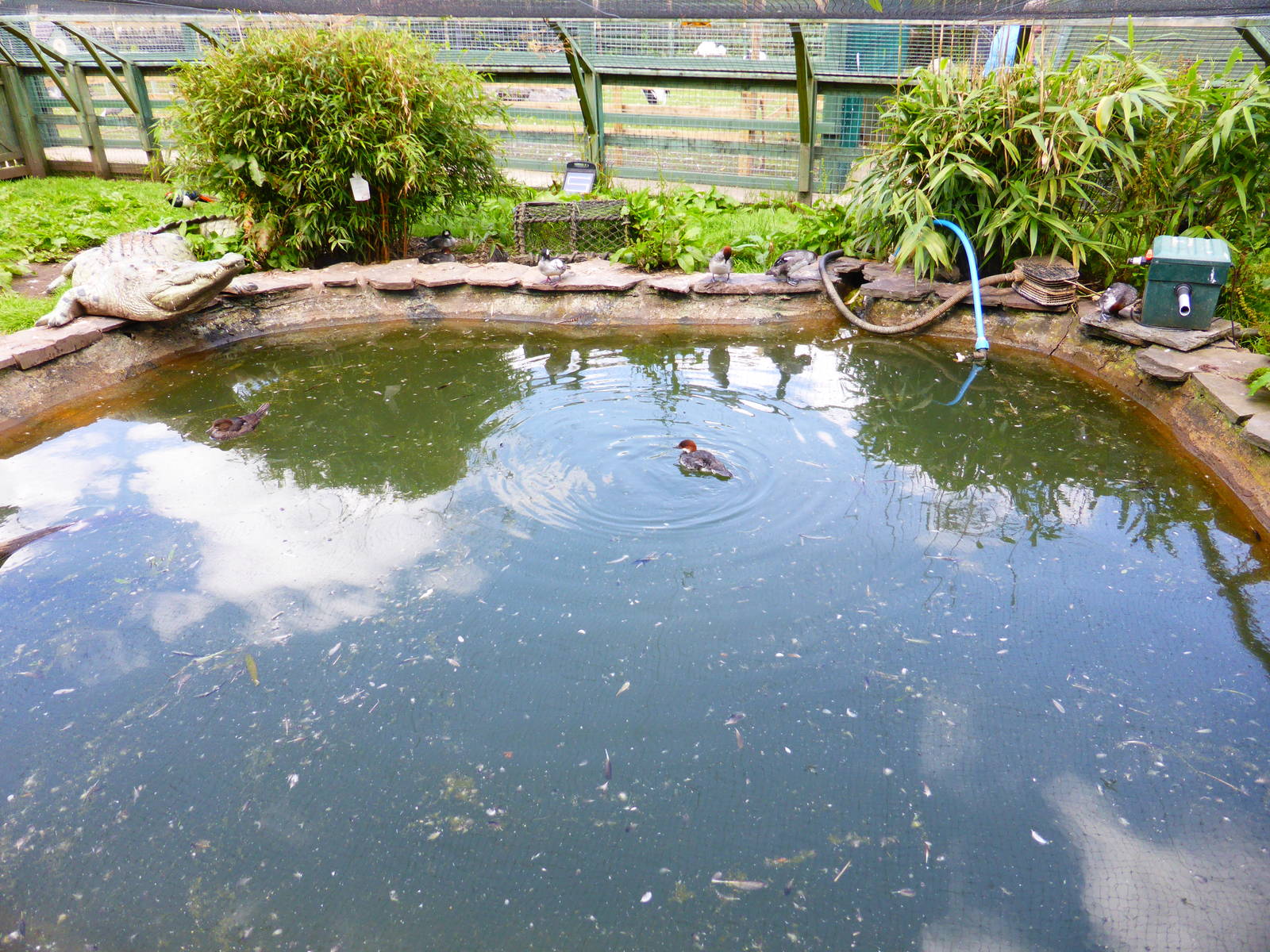 Penycae Inn , South Wales .