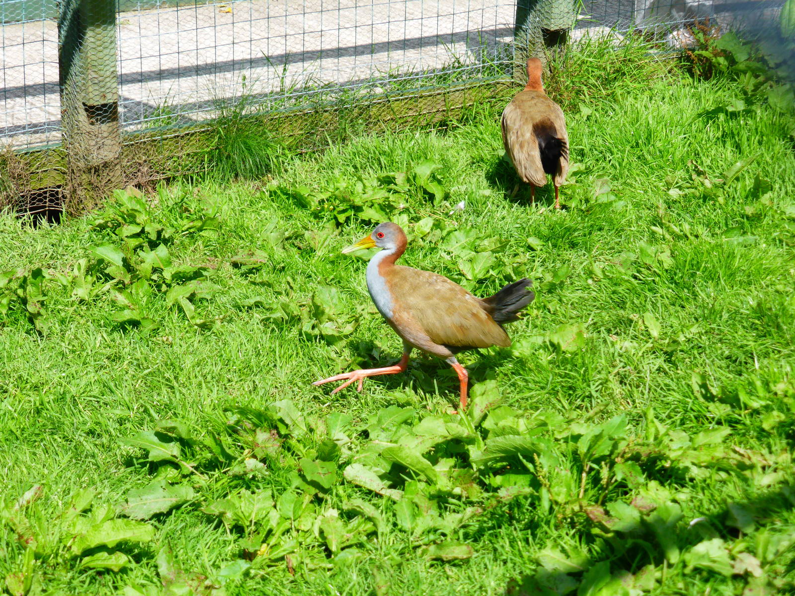 Penycae Inn , South Wales .