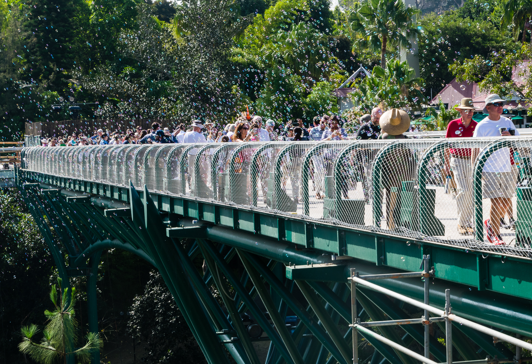 People and bubbles crossing the bridge. Looking East.