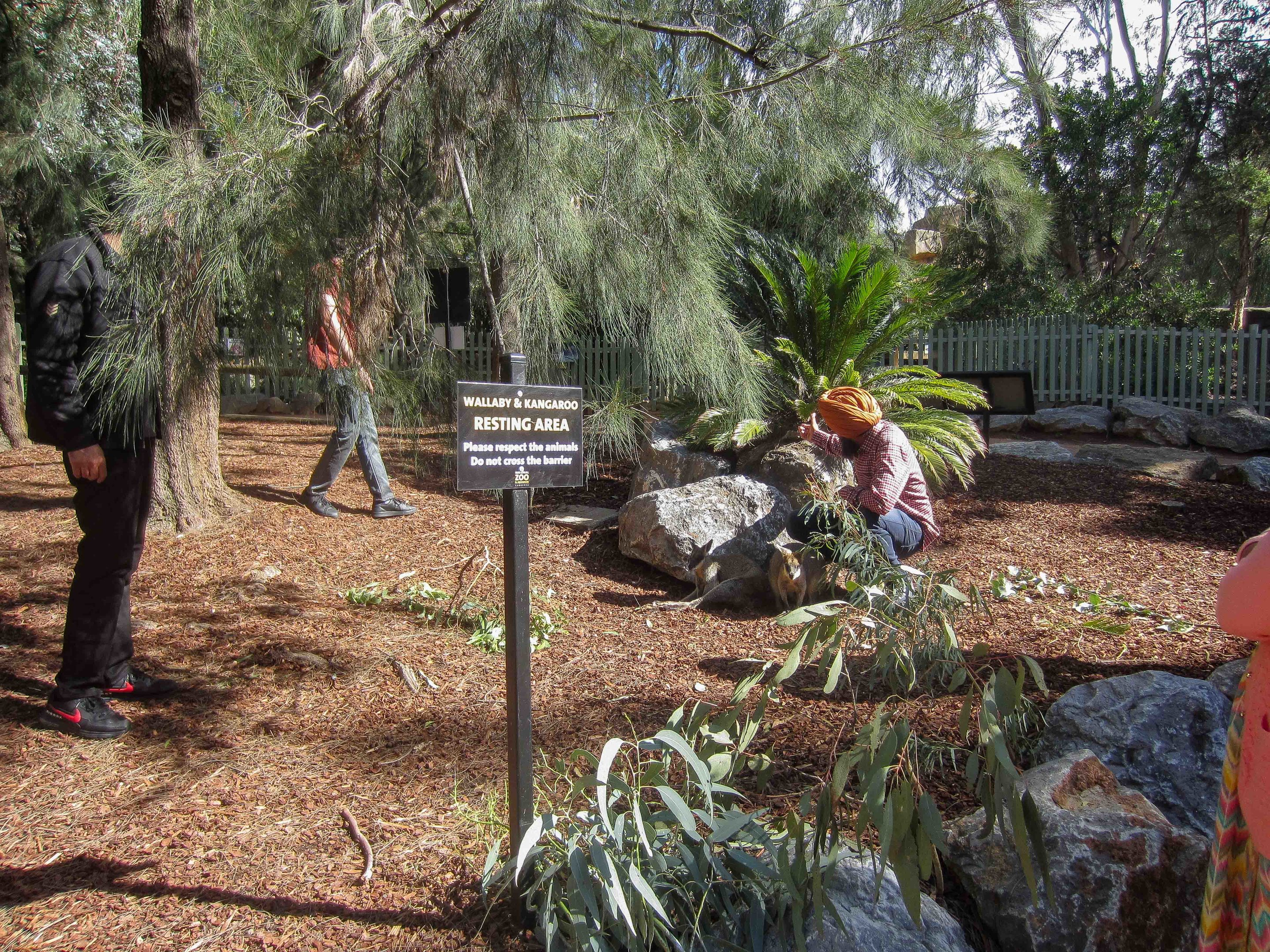 People ignoring the signs.