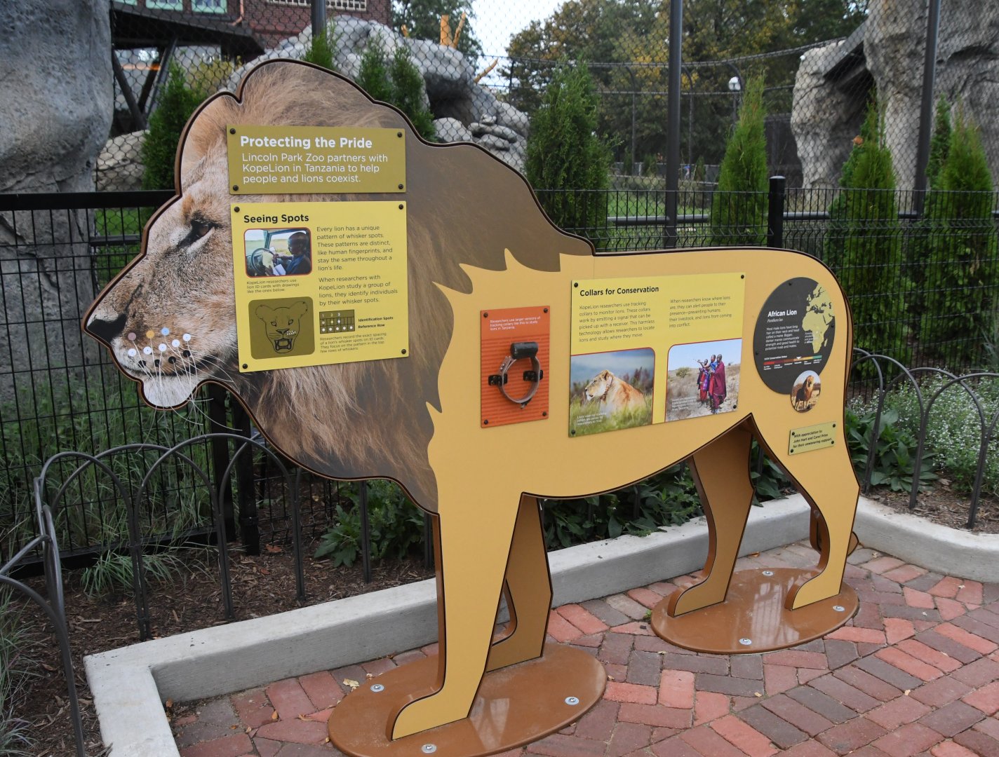 Pepper Family Wildlife Center - Lion Exhibit Signage