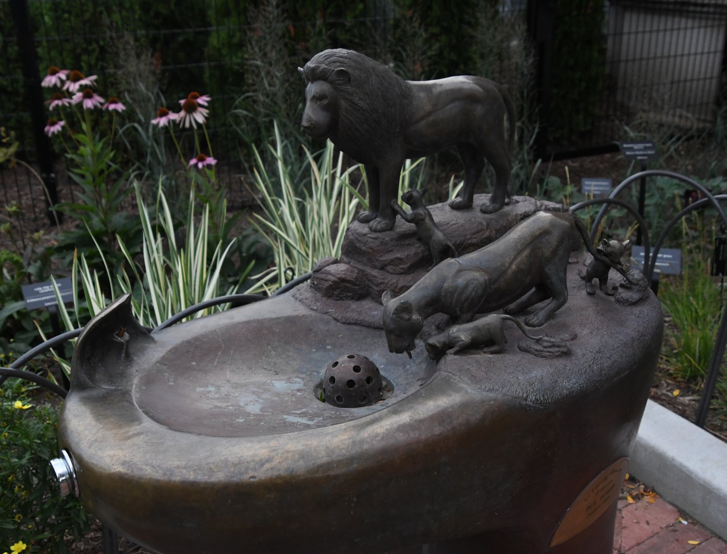 Pepper Family Wildlife Center - Lion Exhibit Water Fountain