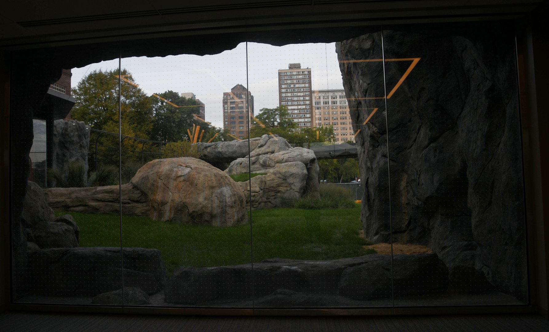 Pepper Family Wildlife Center - Lion Exhibit