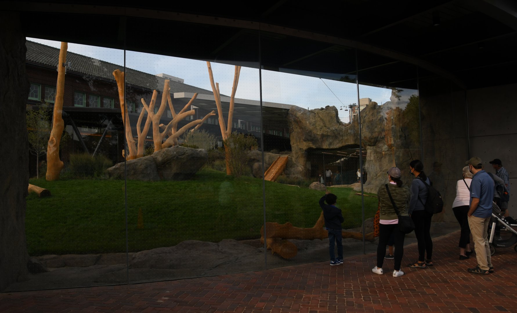 Pepper Family Wildlife Center - Lion Exhibit