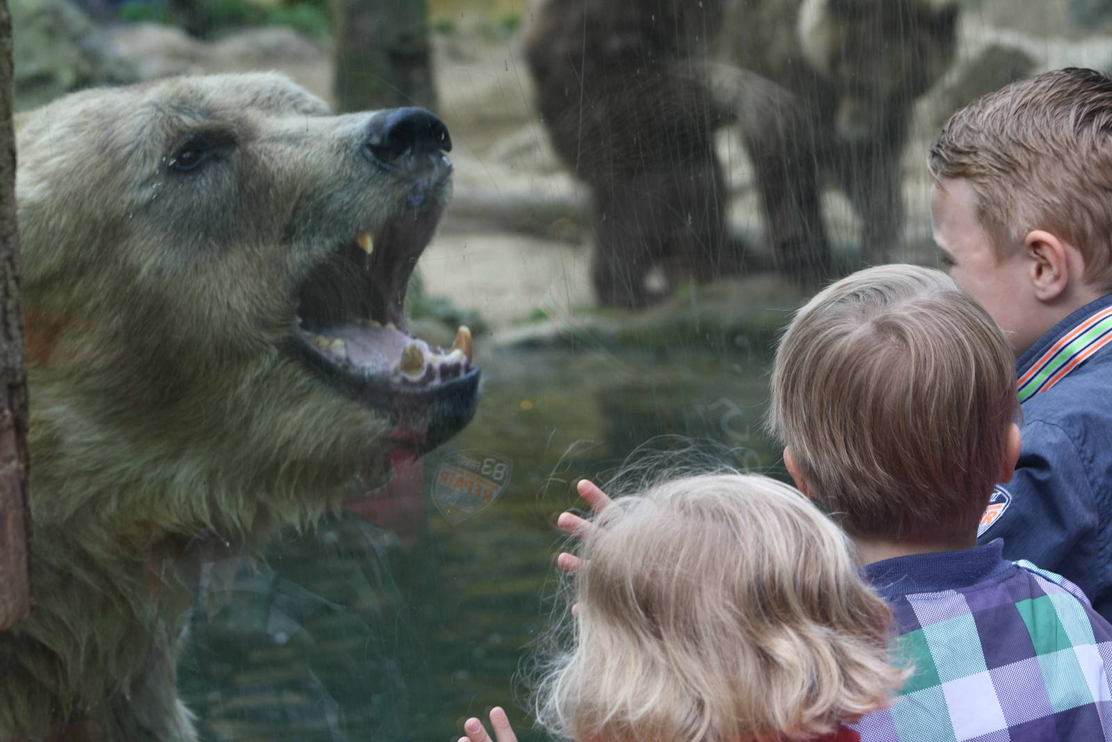 Peppie with Children.